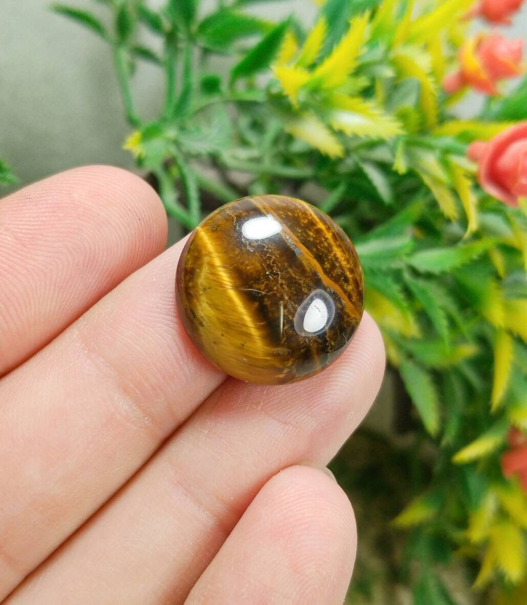 Tigereye Cabochons Pair, 37 Carats