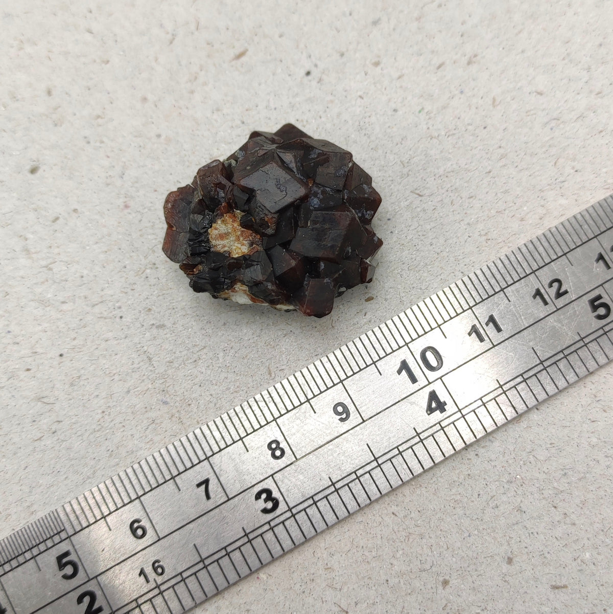 Natural Dark brown Andradite garnet cluster, Well formed crystal, 17 grams