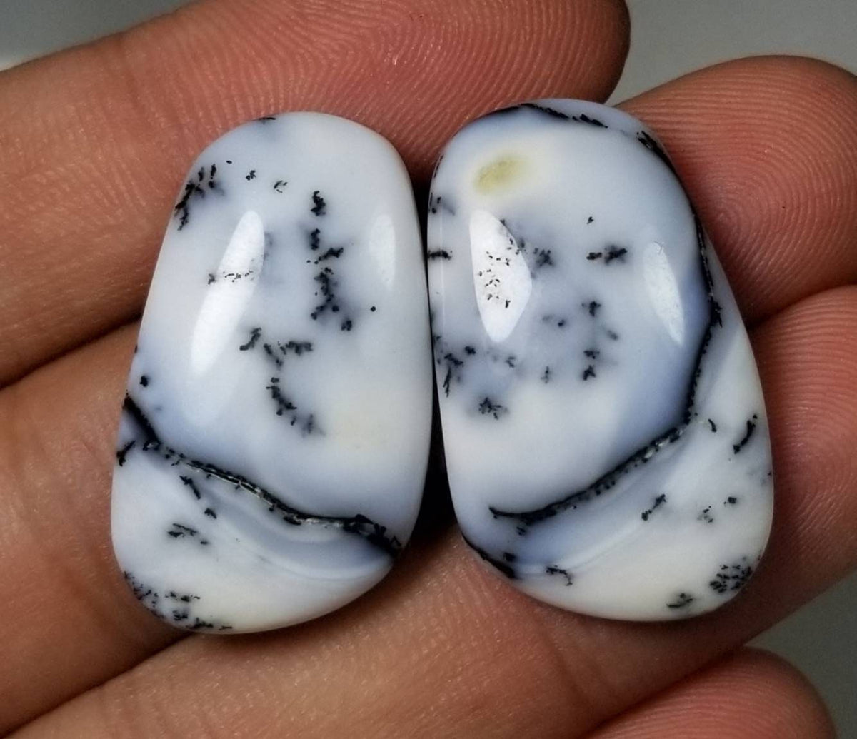 Natural Dendritic Opal Matching Pair, 39 Carats