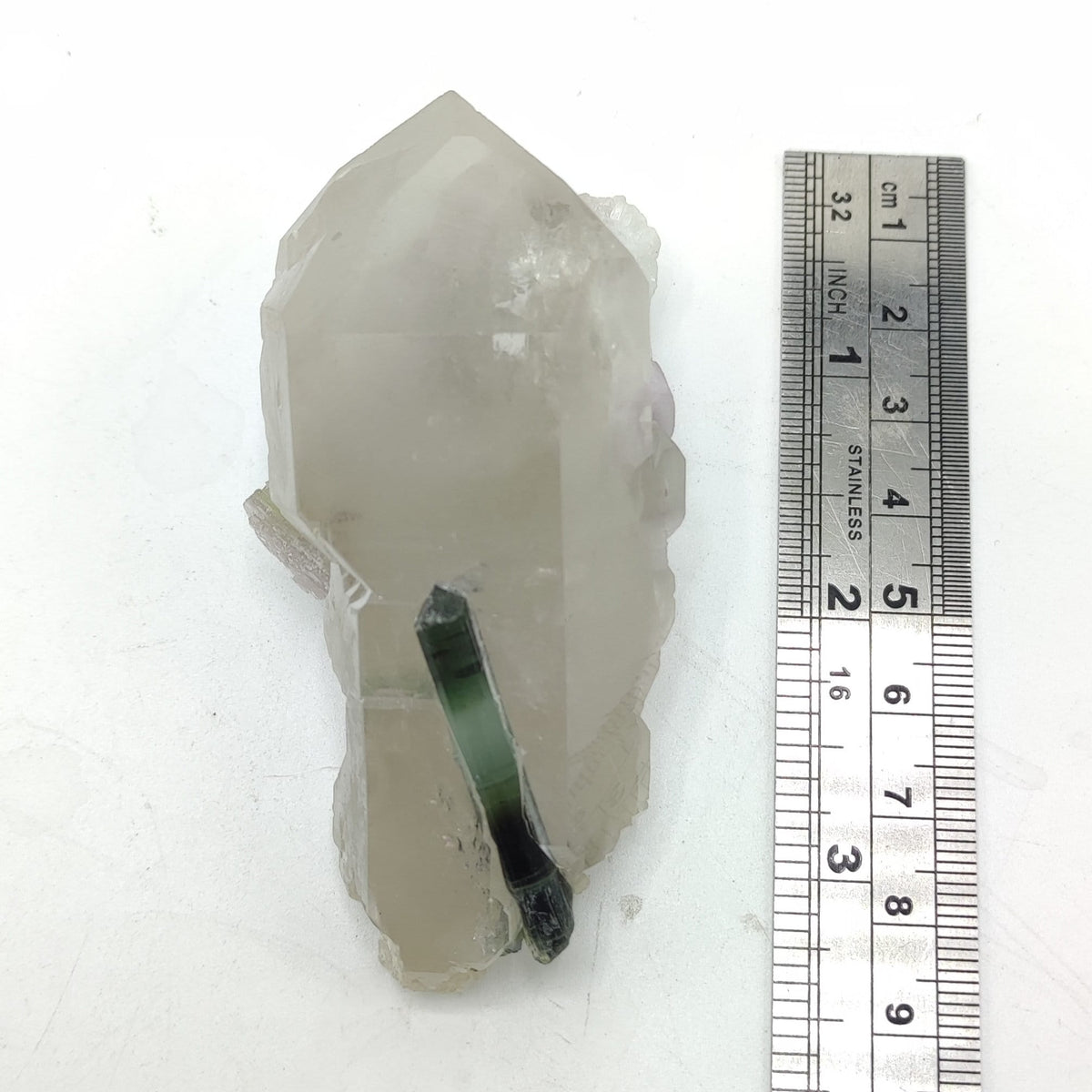 Bicolor Tourmaline Included Quartz Crystal with Apatite