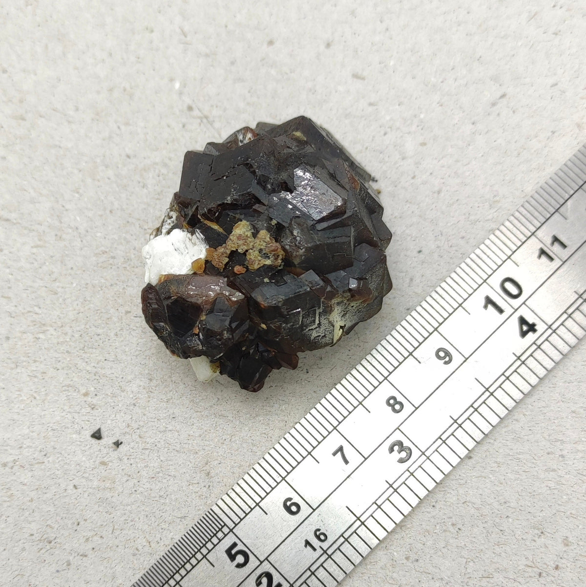 Natural Dark brown Andradite garnet cluster, Well formed crystal, 40 grams