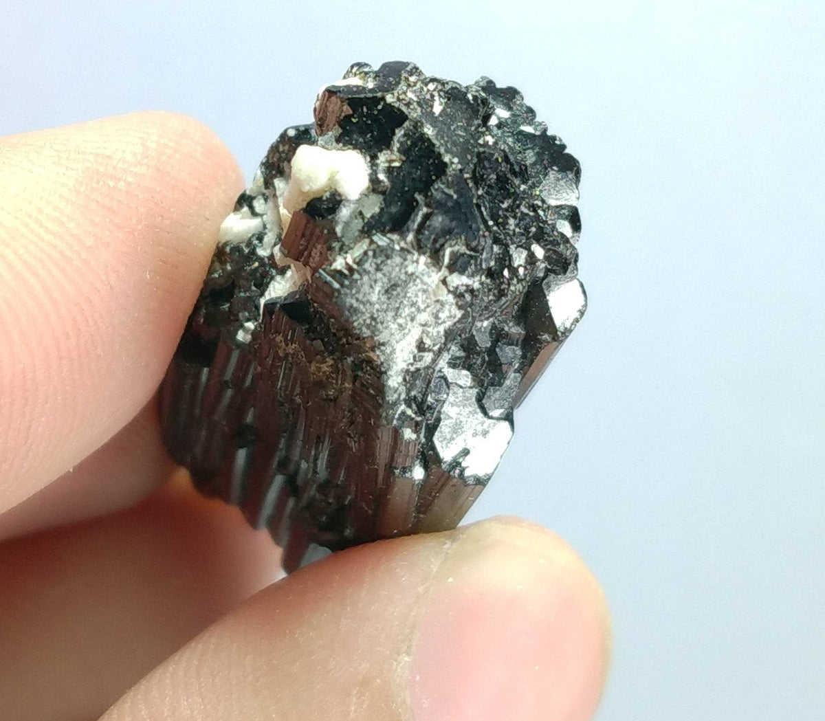 Black Tourmaline Crystal Bunch, Skardu Pakistan, 16 Grams
