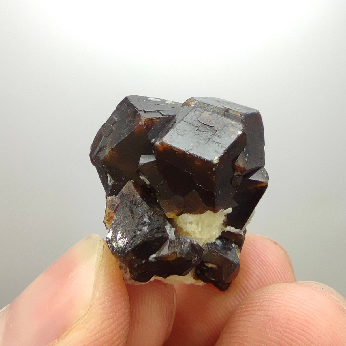 Natural Dark brown Andradite garnet cluster, Well formed crystal, 13.5 grams