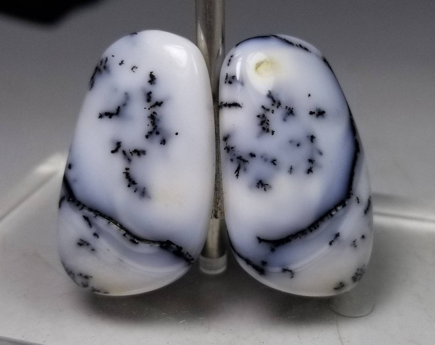 ARSAA GEMS AND MINERALSNatural Matching pair of high quality dendritic opal - Premium  from ARSAA GEMS AND MINERALS - Just $15.00! Shop now at ARSAA GEMS AND MINERALS