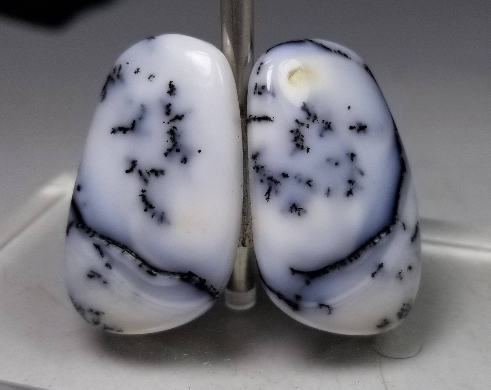 ARSAA GEMS AND MINERALSNatural Matching pair of high quality dendritic opal - Premium  from ARSAA GEMS AND MINERALS - Just $15.00! Shop now at ARSAA GEMS AND MINERALS
