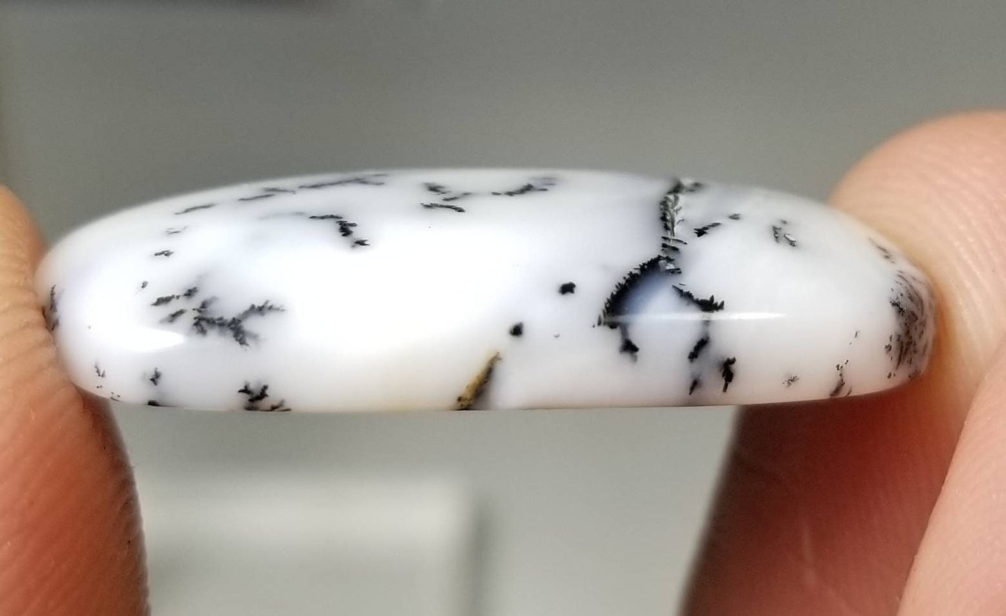 ARSAA GEMS AND MINERALSNatural Matching pair of high quality dendritic opal - Premium  from ARSAA GEMS AND MINERALS - Just $15.00! Shop now at ARSAA GEMS AND MINERALS