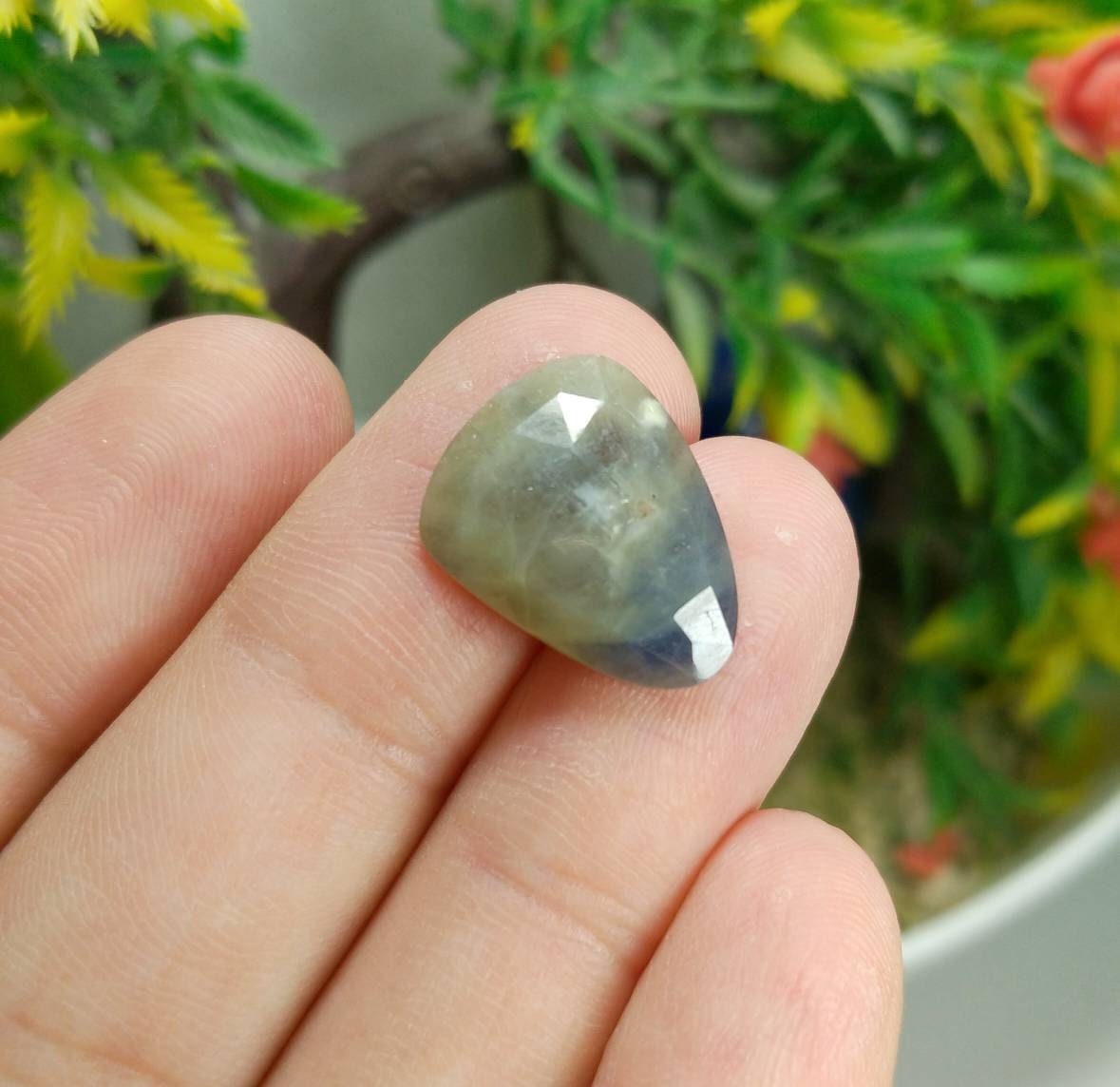 ARSAA GEMS AND MINERALSNatural fine quality beautiful 71 carats rose/cut faceted sapphire cabochons - Premium from ARSAA GEMS AND MINERALS - Just $70.00! Shop now at ARSAA GEMS AND MINERALS