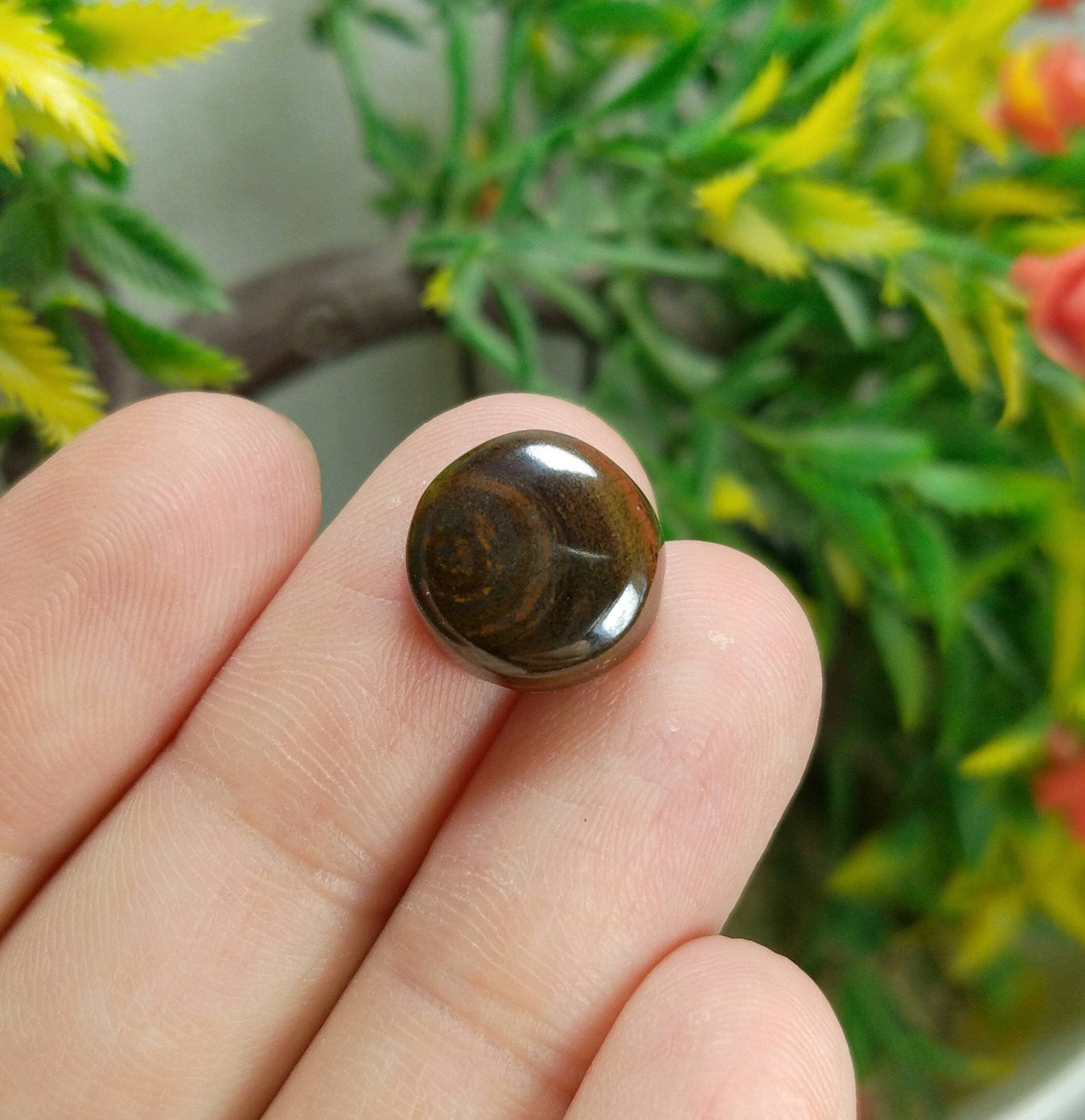 ARSAA GEMS AND MINERALSNatural fine quality beautiful 18 carats Pair of jasper cabochons - Premium from ARSAA GEMS AND MINERALS - Just $12.00! Shop now at ARSAA GEMS AND MINERALS