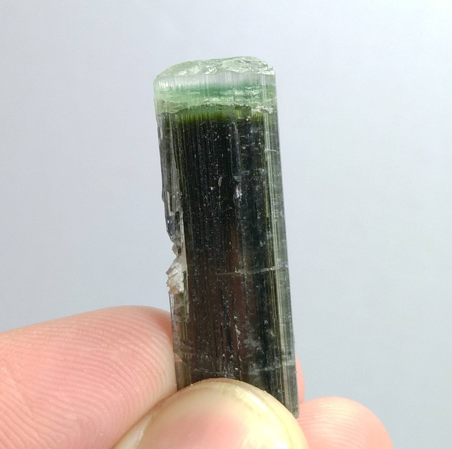 ARSAA GEMS AND MINERALSNatural top quality beautiful 7 grams terminated green cap Tourmaline crystal - Premium from ARSAA GEMS AND MINERALS - Just $45.00! Shop now at ARSAA GEMS AND MINERALS