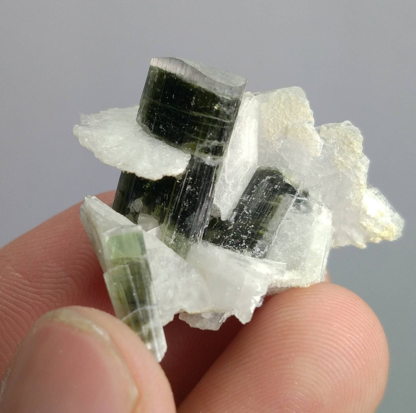 ARSAA GEMS AND MINERALSNatural top quality beautiful 9.8 grams terminated green cap Tourmaline cluster - Premium from ARSAA GEMS AND MINERALS - Just $55.00! Shop now at ARSAA GEMS AND MINERALS