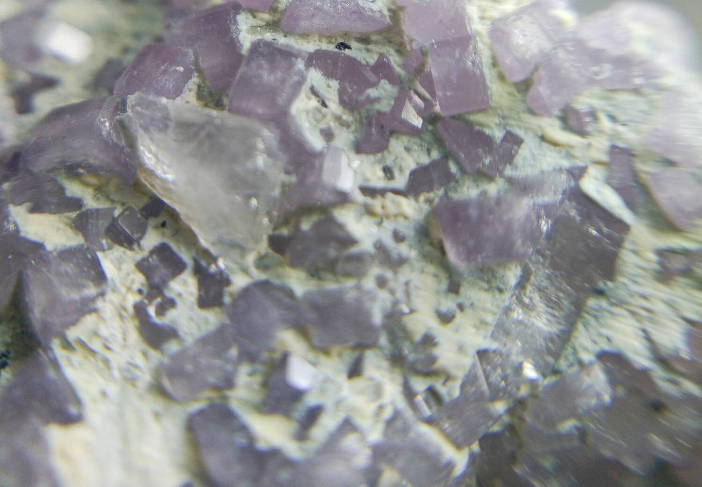 ARSAA GEMS AND MINERALSNumerous small sized light color 35.5 grams fluor-apatite crystals on terminates etched tourmaline crystal - Premium from ARSAA GEMS AND MINERALS - Just $250.00! Shop now at ARSAA GEMS AND MINERALS