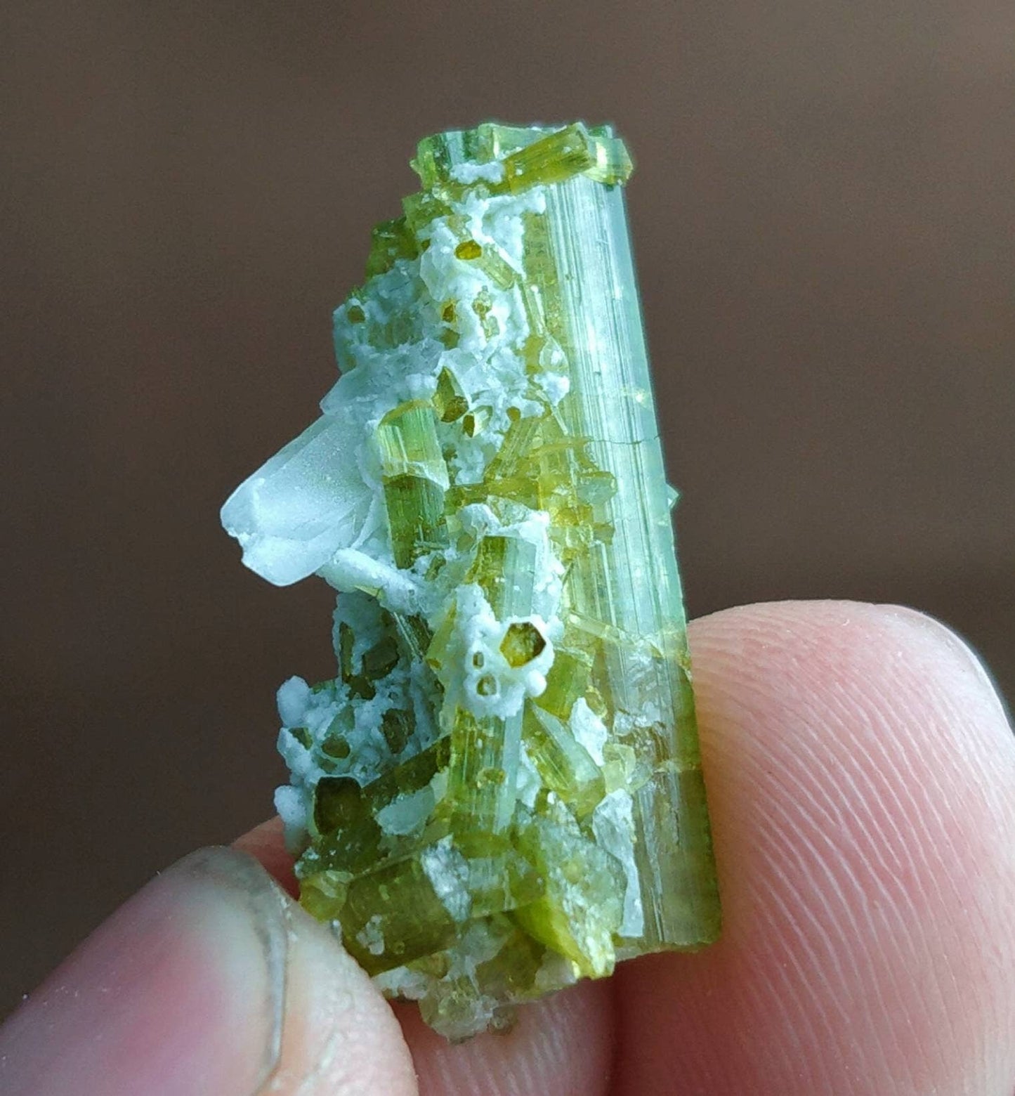 ARSAA GEMS AND MINERALSTerminated natural green tourmaline crystal with quartz on matrix from Skardu GilgitBaltistan Pakistan, weight: 3.3 grams - Premium from ARSAA GEMS AND MINERALS - Just $50.00! Shop now at ARSAA GEMS AND MINERALS