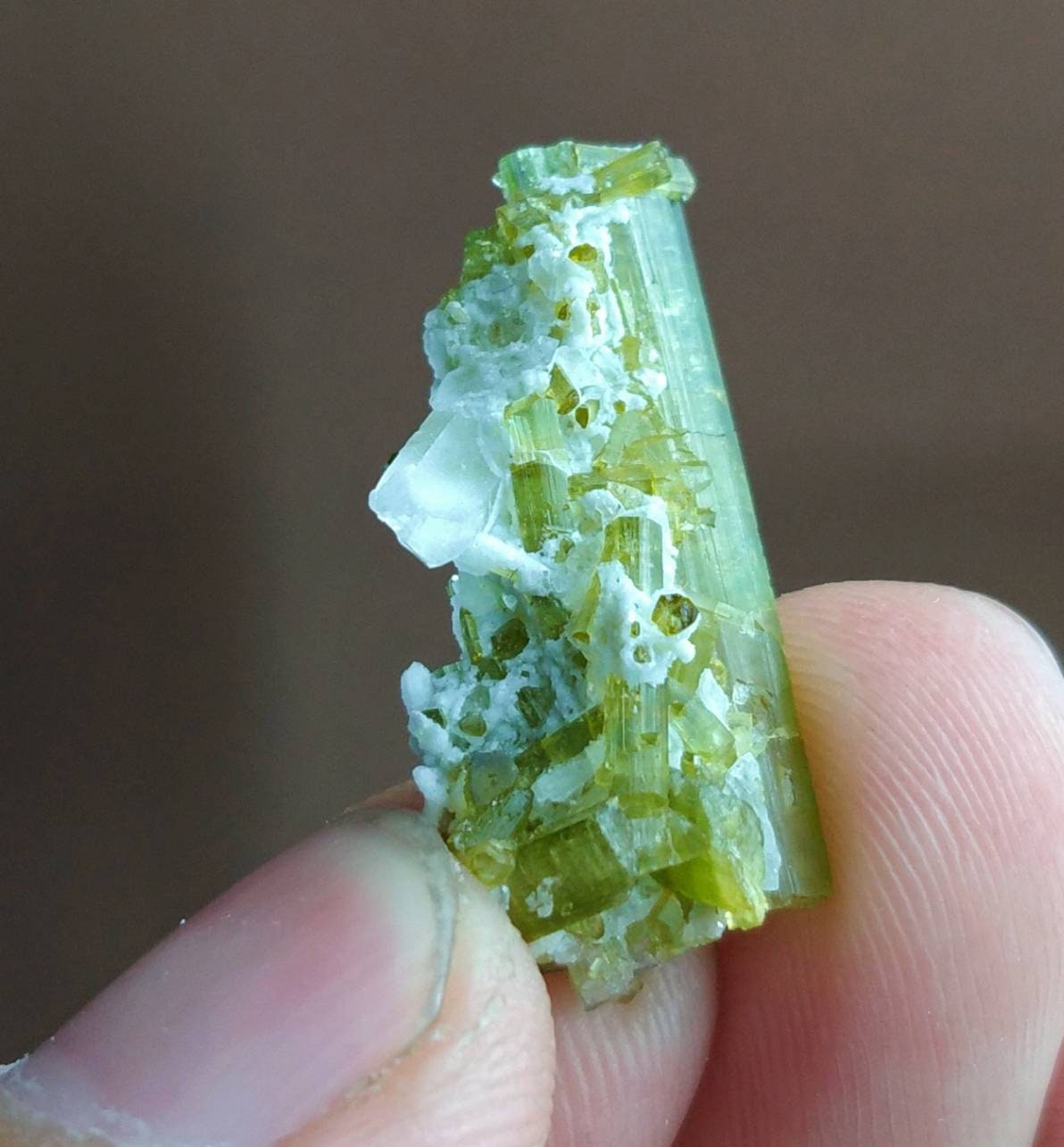 ARSAA GEMS AND MINERALSTerminated natural green tourmaline crystal with quartz on matrix from Skardu GilgitBaltistan Pakistan, weight: 3.3 grams - Premium from ARSAA GEMS AND MINERALS - Just $50.00! Shop now at ARSAA GEMS AND MINERALS