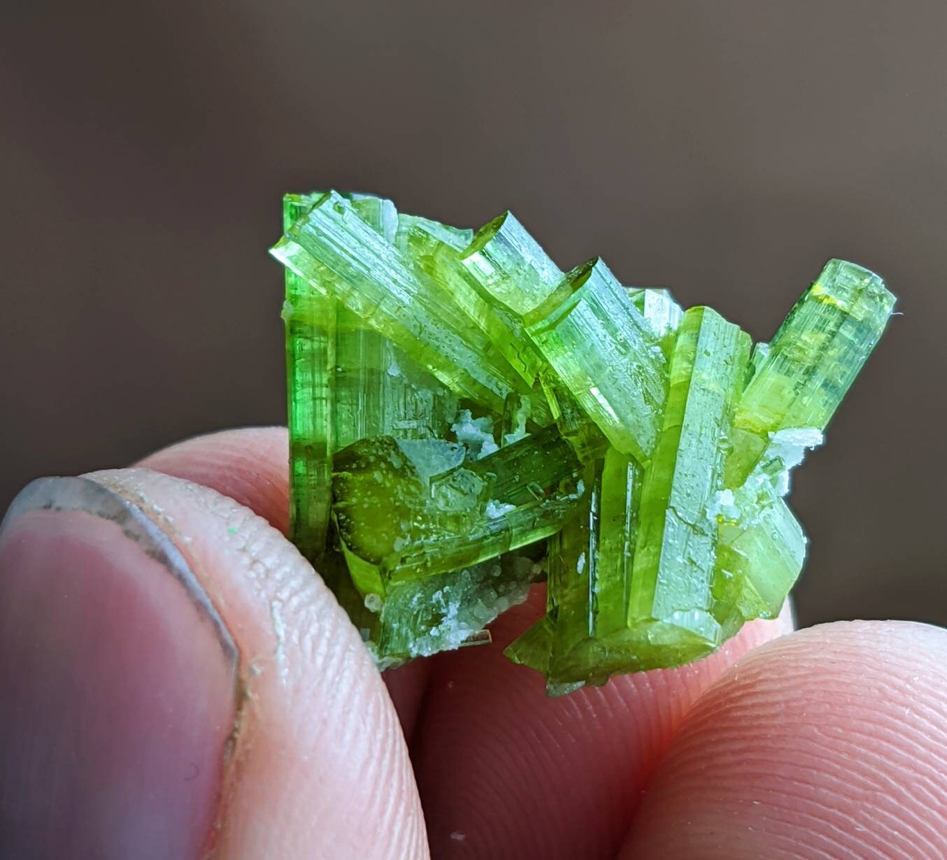 ARSAA GEMS AND MINERALSGreen tourmaline terminated cluster from Skardu GilgitBaltistan Pakistan, weight 3.7 grams - Premium  from ARSAA GEMS AND MINERALS - Just $30.00! Shop now at ARSAA GEMS AND MINERALS
