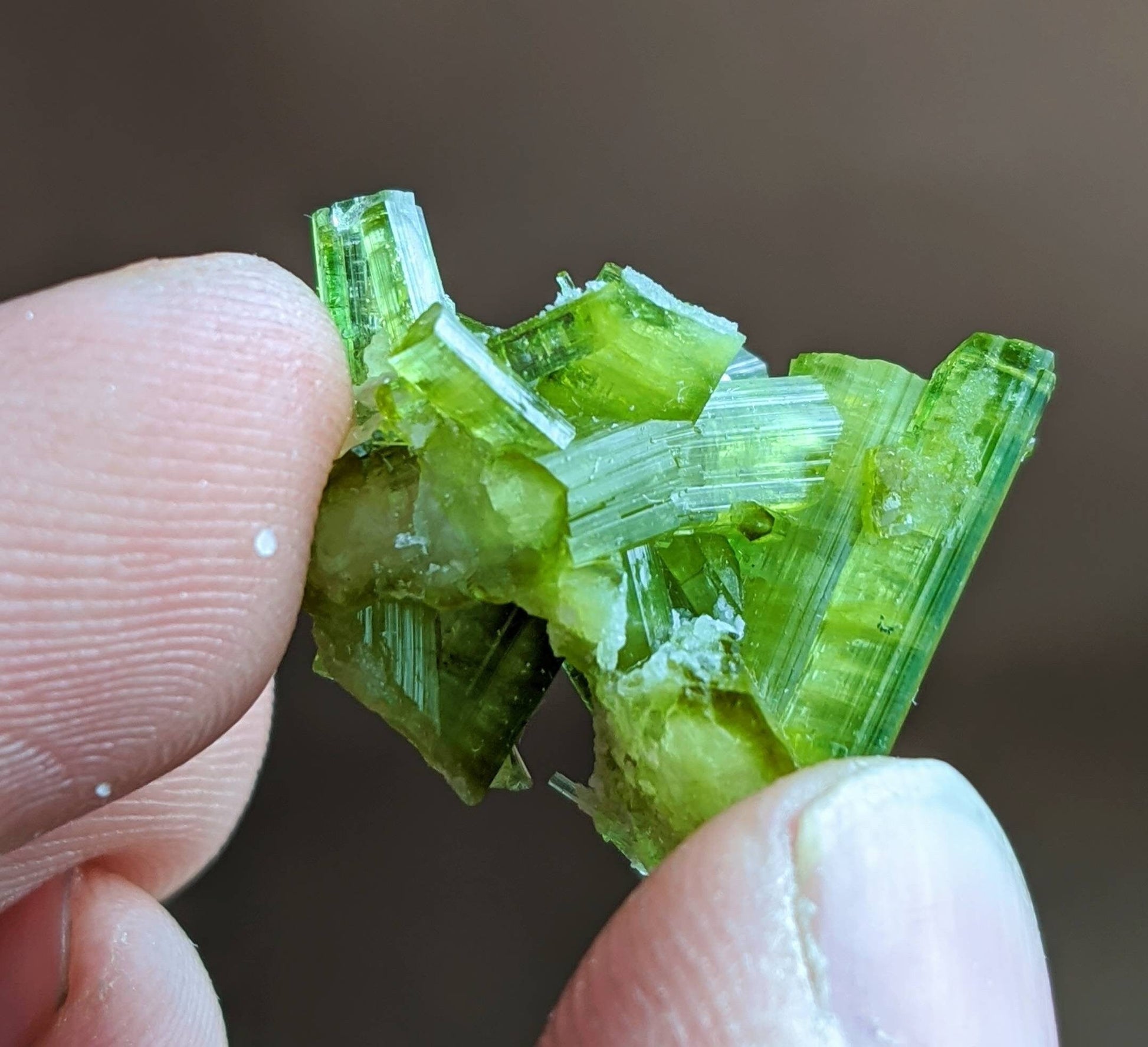 ARSAA GEMS AND MINERALSGreen tourmaline terminated cluster from Skardu GilgitBaltistan Pakistan, weight 3.7 grams - Premium  from ARSAA GEMS AND MINERALS - Just $30.00! Shop now at ARSAA GEMS AND MINERALS