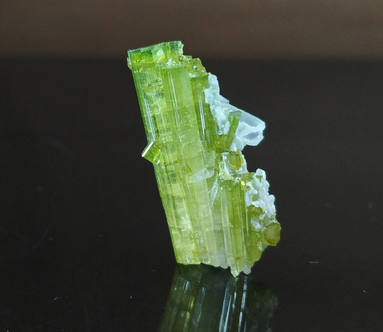 ARSAA GEMS AND MINERALSTerminated natural green tourmaline crystal with quartz on matrix from Skardu GilgitBaltistan Pakistan, weight: 3.3 grams - Premium from ARSAA GEMS AND MINERALS - Just $50.00! Shop now at ARSAA GEMS AND MINERALS