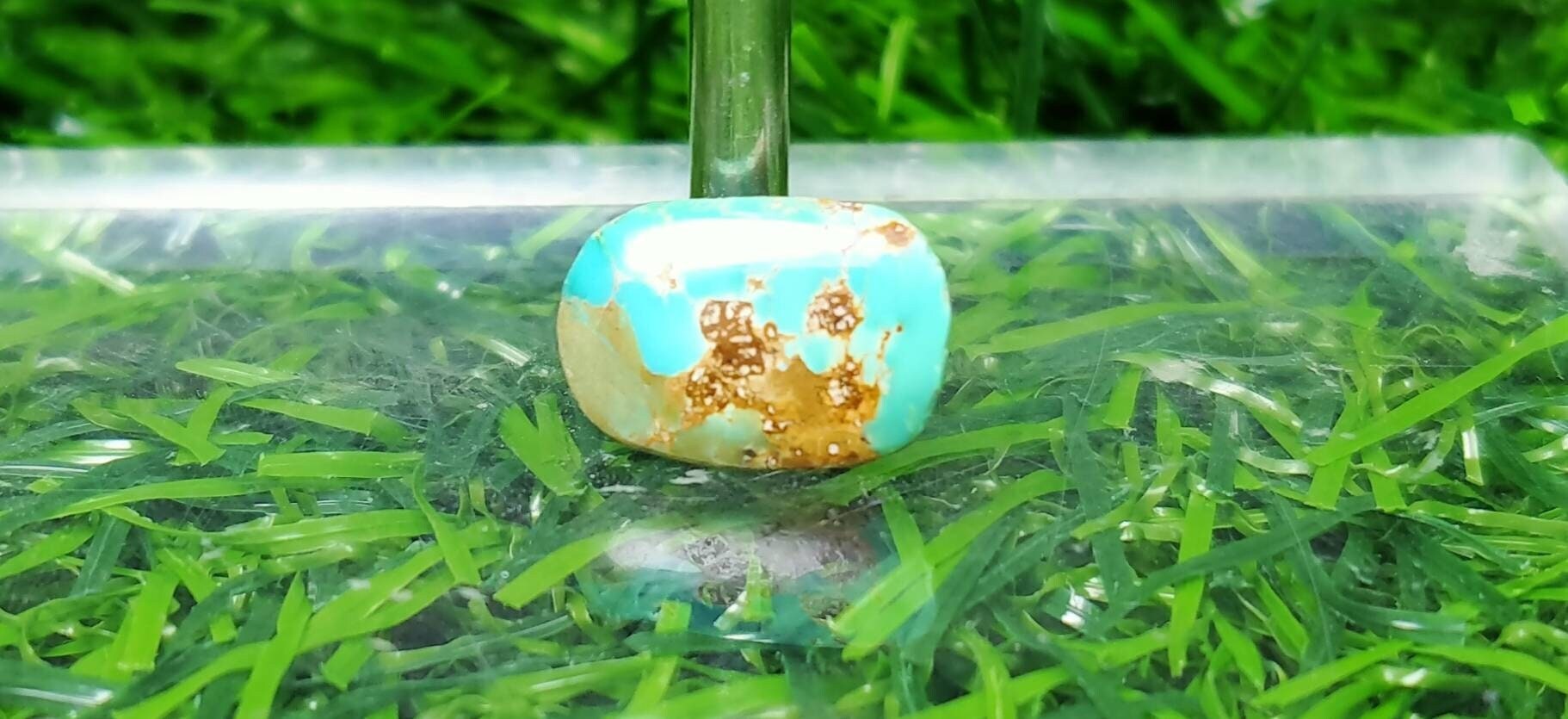 ARSAA GEMS AND MINERALSNatural good quality ring size turquoise cabochon - Premium  from ARSAA GEMS AND MINERALS - Just $8.00! Shop now at ARSAA GEMS AND MINERALS