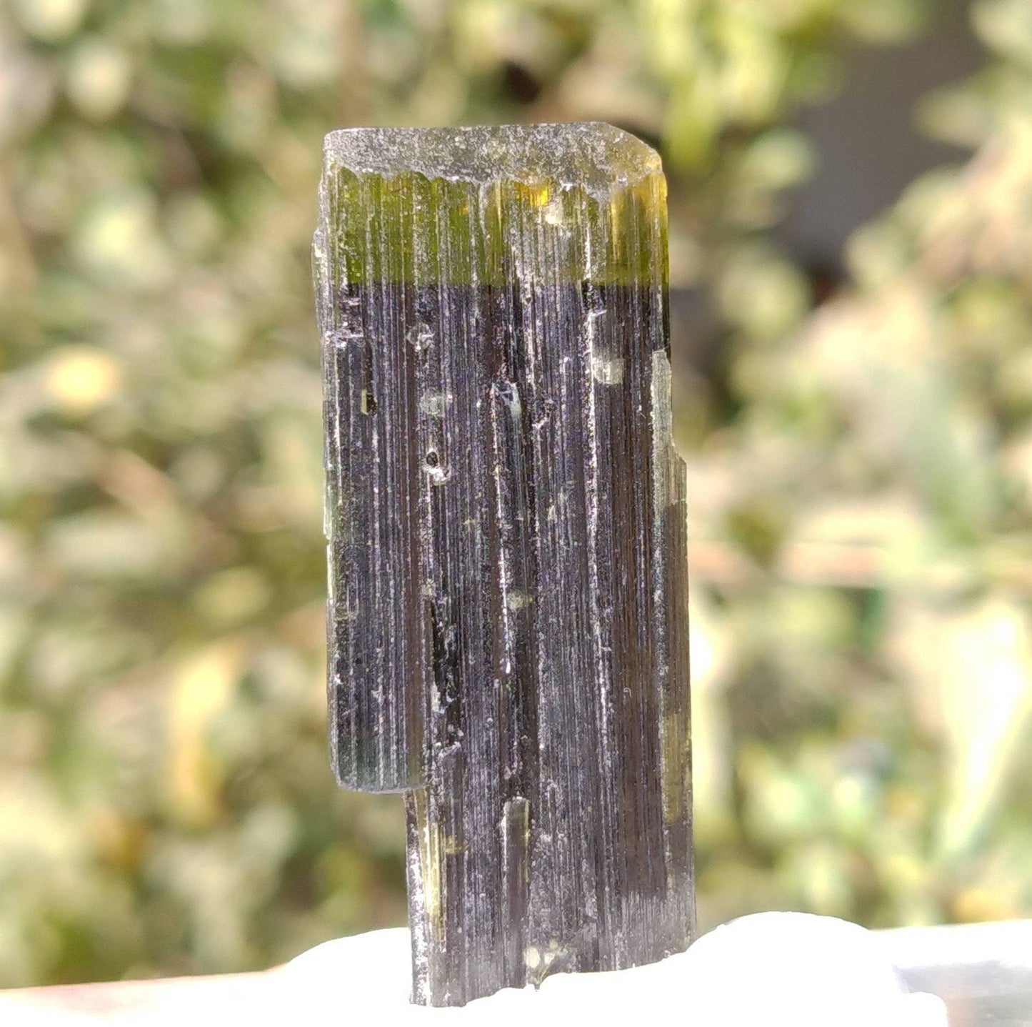 ARSAA GEMS AND MINERALSNatural top quality beautiful 14 grams terminated green cap Tourmaline crystal - Premium from ARSAA GEMS AND MINERALS - Just $65.00! Shop now at ARSAA GEMS AND MINERALS