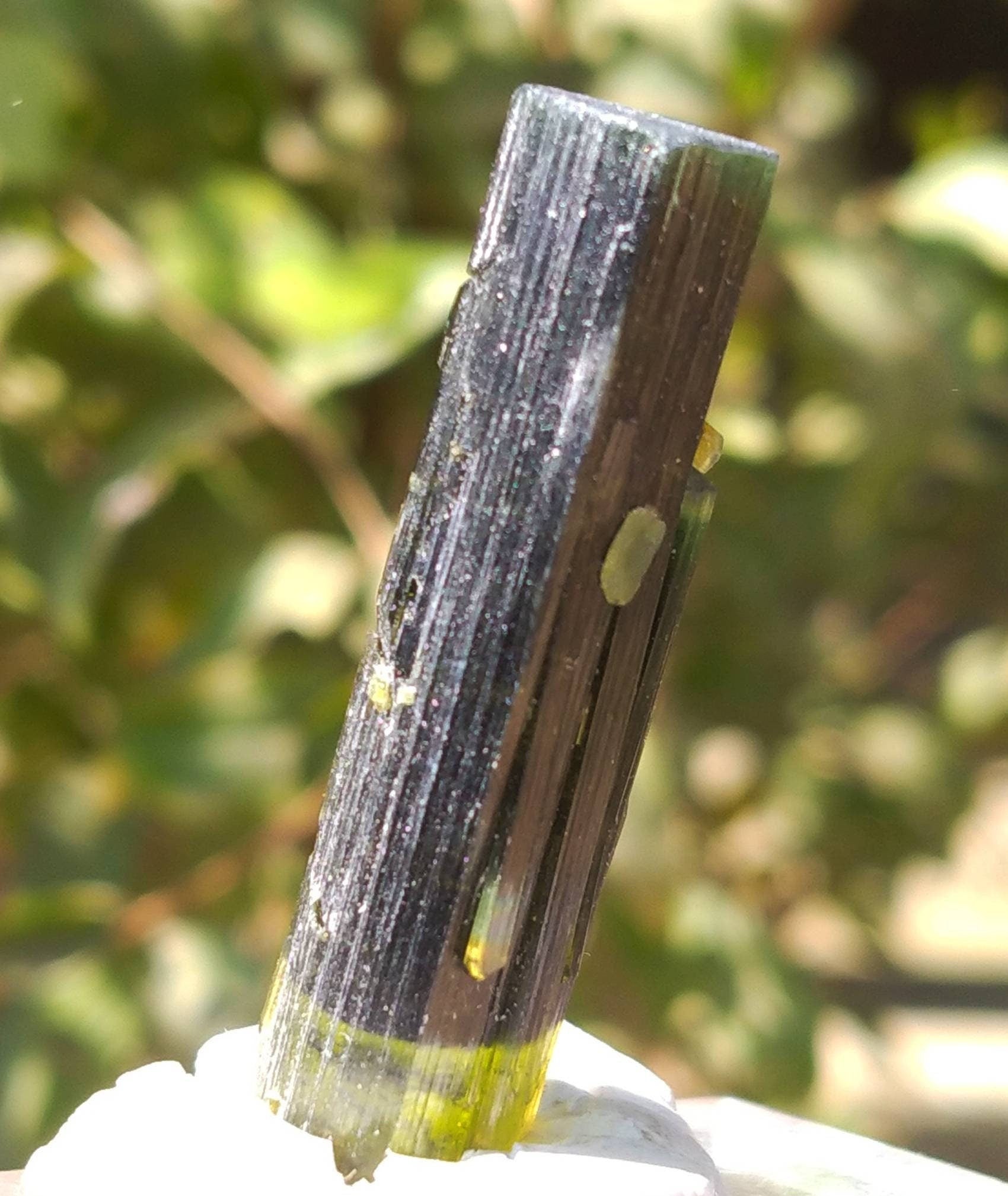 ARSAA GEMS AND MINERALSNatural top quality beautiful 8 grams double terminated double sided green cap Tourmaline crystal - Premium  from ARSAA GEMS AND MINERALS - Just $40.00! Shop now at ARSAA GEMS AND MINERALS