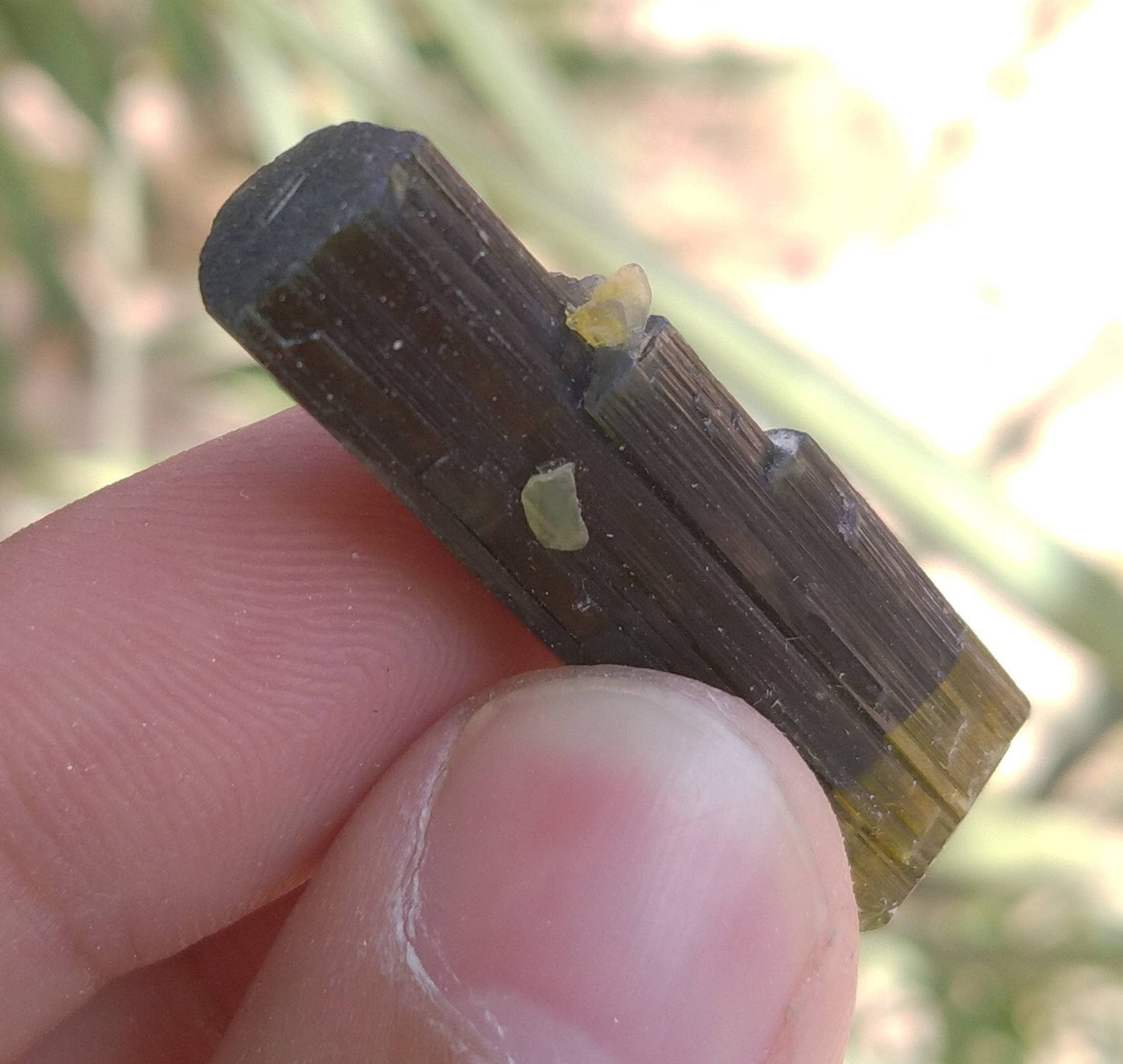 ARSAA GEMS AND MINERALSNatural top quality beautiful 8 grams double terminated double sided green cap Tourmaline crystal - Premium  from ARSAA GEMS AND MINERALS - Just $40.00! Shop now at ARSAA GEMS AND MINERALS