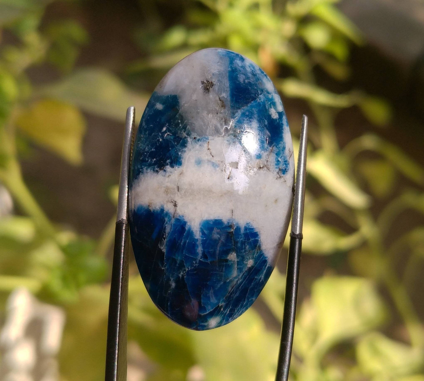 ARSAA GEMS AND MINERALSNatural top quality beautiful 32 carats oval shape afghan hauyne var.lazurite UV reactive Cabochon - Premium from ARSAA GEMS AND MINERALS - Just $30.00! Shop now at ARSAA GEMS AND MINERALS