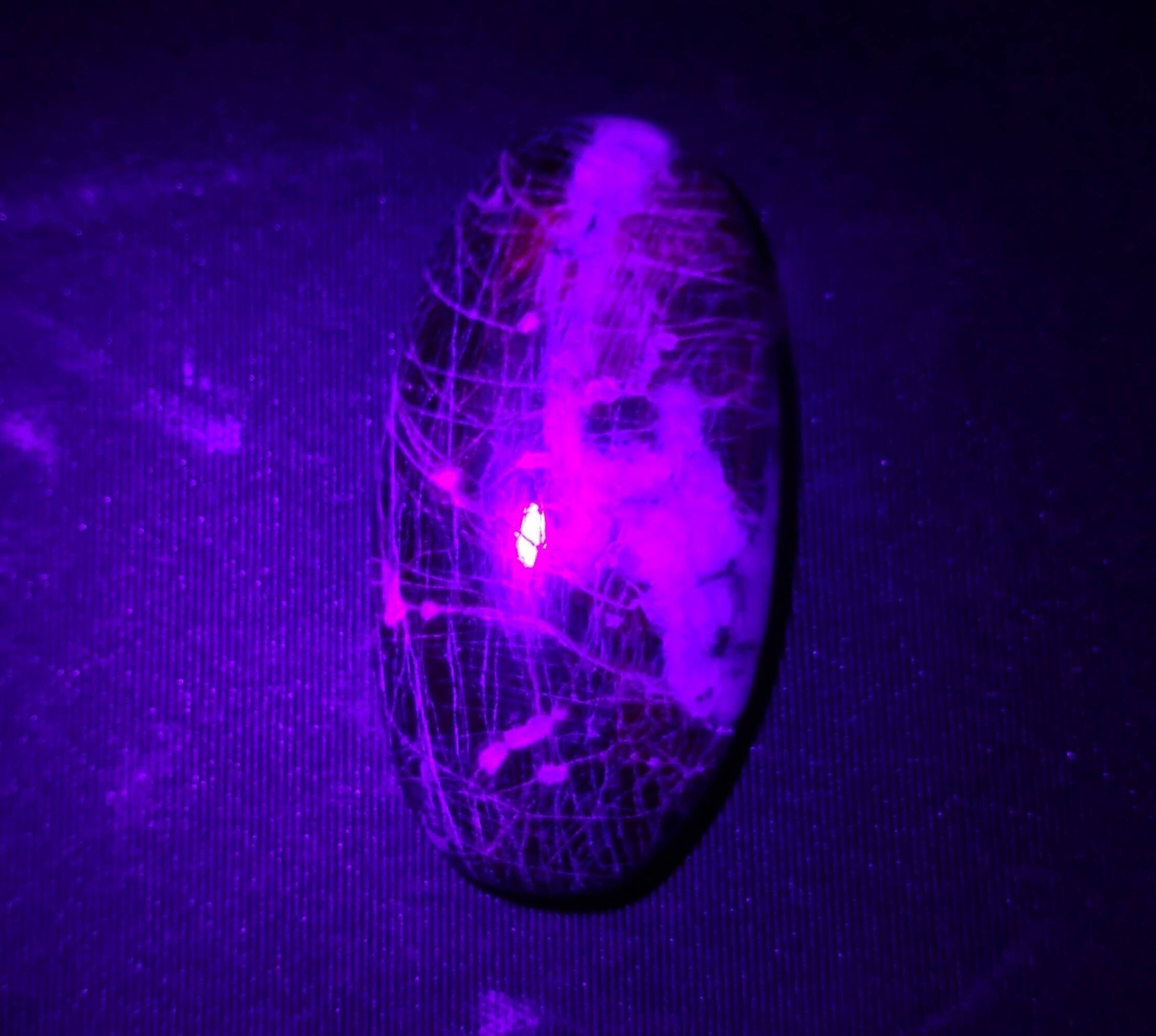 ARSAA GEMS AND MINERALSNatural top quality beautiful 36 Carats large size UV reactive afghan hauyne var.lazurite Cabochon - Premium  from ARSAA GEMS AND MINERALS - Just $35.00! Shop now at ARSAA GEMS AND MINERALS
