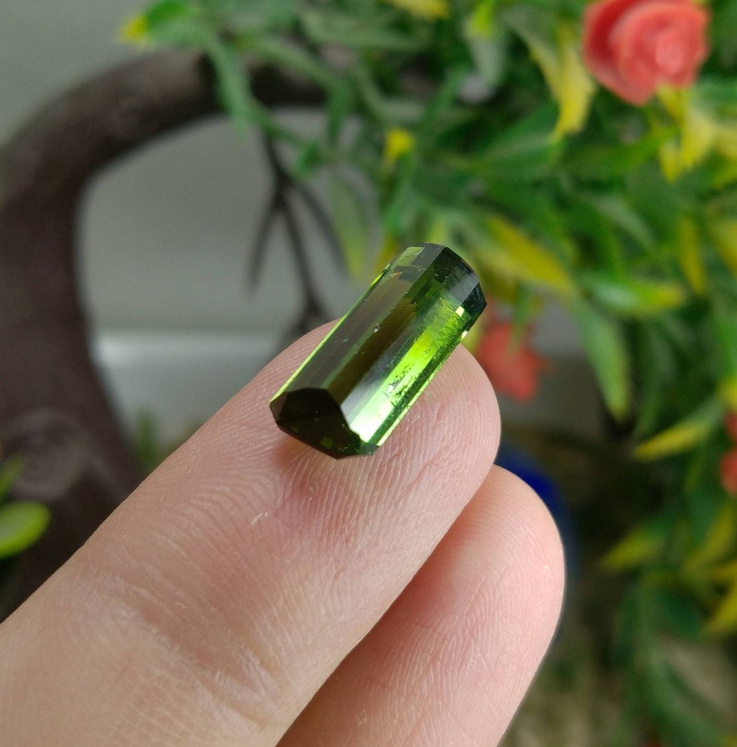 ARSAA GEMS AND MINERALSNatural top quality beautiful 6 carats faceted radiant shape green tourmaline gem - Premium  from ARSAA GEMS AND MINERALS - Just $150.00! Shop now at ARSAA GEMS AND MINERALS