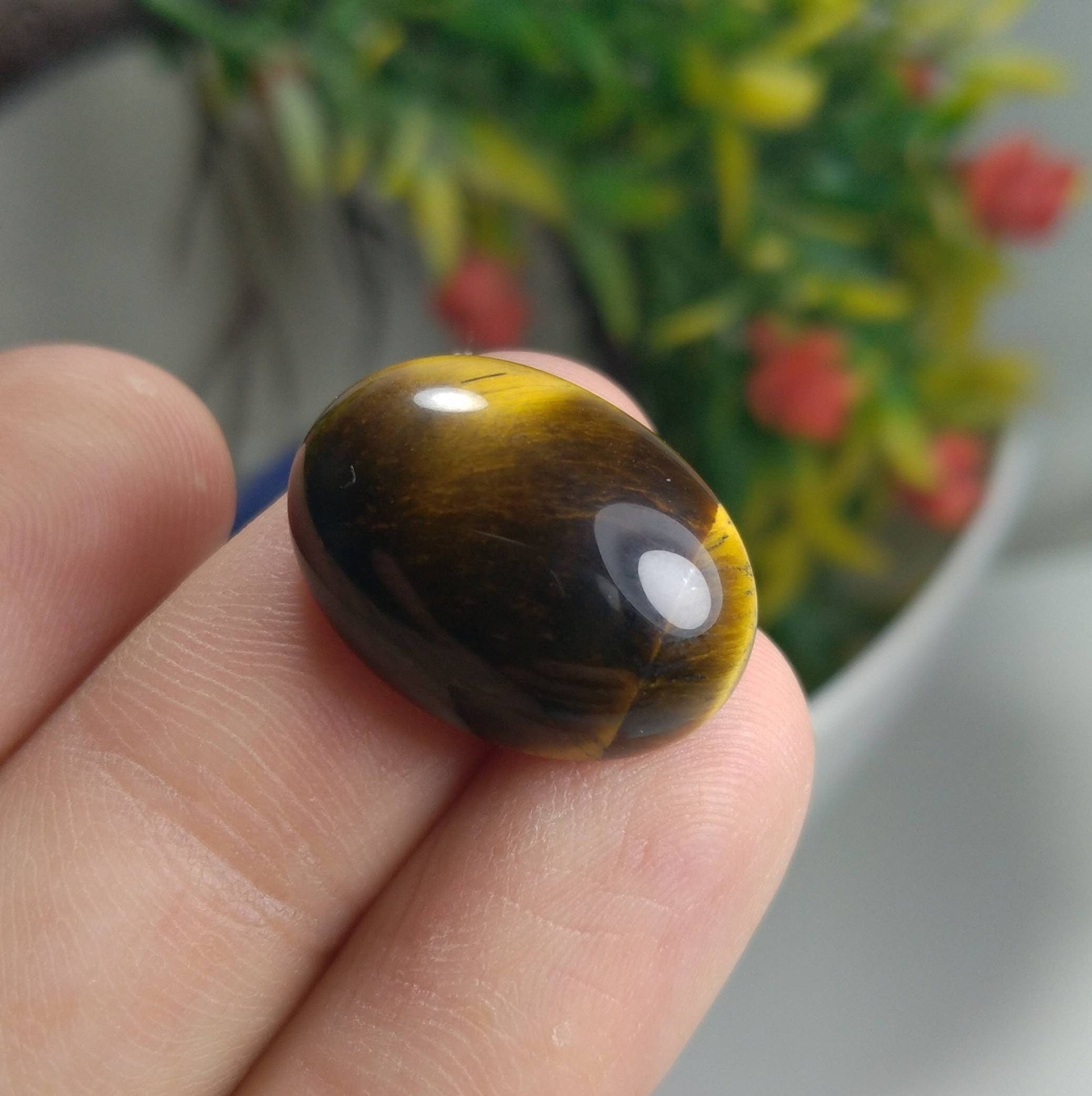 ARSAA GEMS AND MINERALSNatural top quality beautiful 35 carats pair of tigereye cabochons - Premium  from ARSAA GEMS AND MINERALS - Just $15.00! Shop now at ARSAA GEMS AND MINERALS