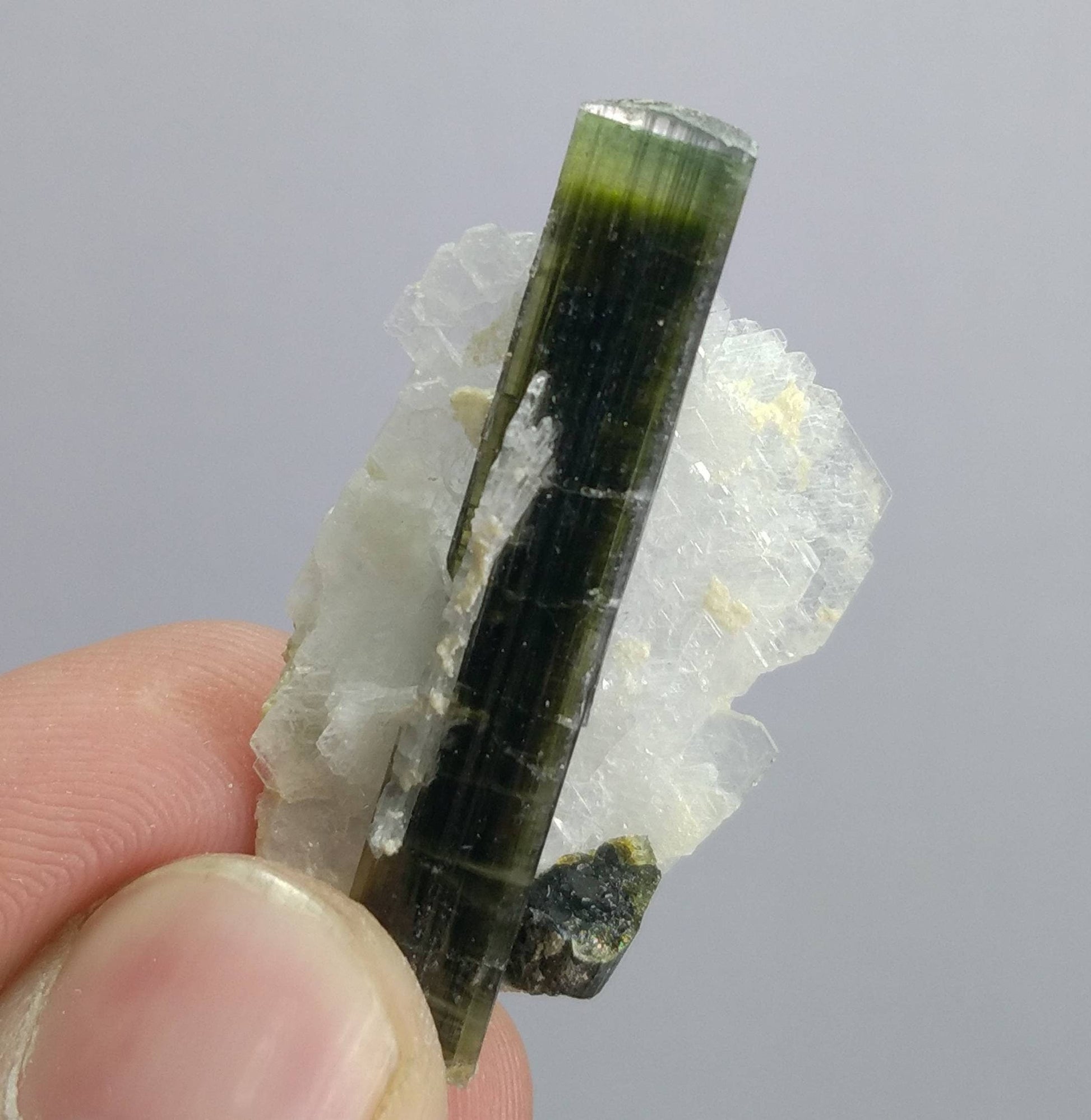 ARSAA GEMS AND MINERALSNatural top quality beautiful 6.7 grams double terminated green cap Tourmaline crystal - Premium  from ARSAA GEMS AND MINERALS - Just $50.00! Shop now at ARSAA GEMS AND MINERALS