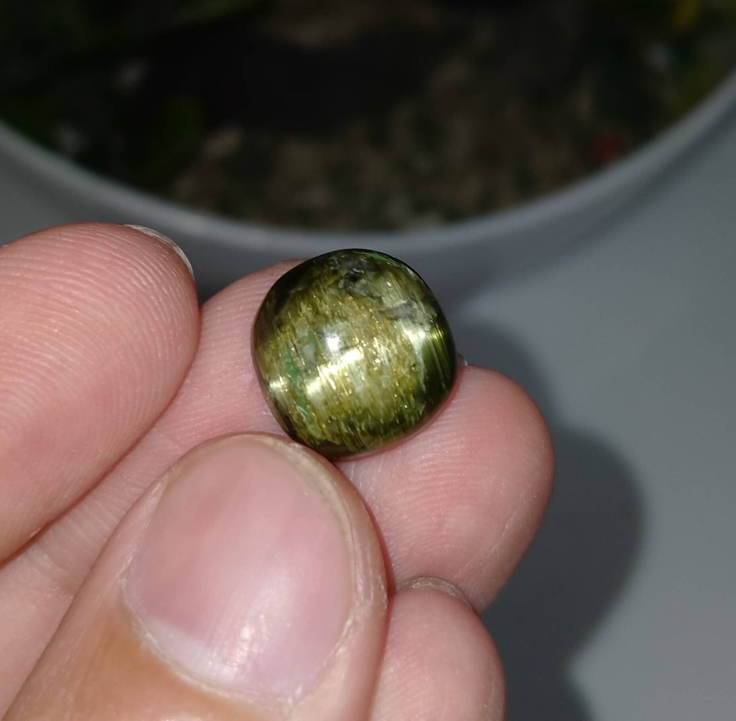ARSAA GEMS AND MINERALSNatural top quality beautiful 8 carats cats eye tourmaline cabochon - Premium from ARSAA GEMS AND MINERALS - Just $25.00! Shop now at ARSAA GEMS AND MINERALS