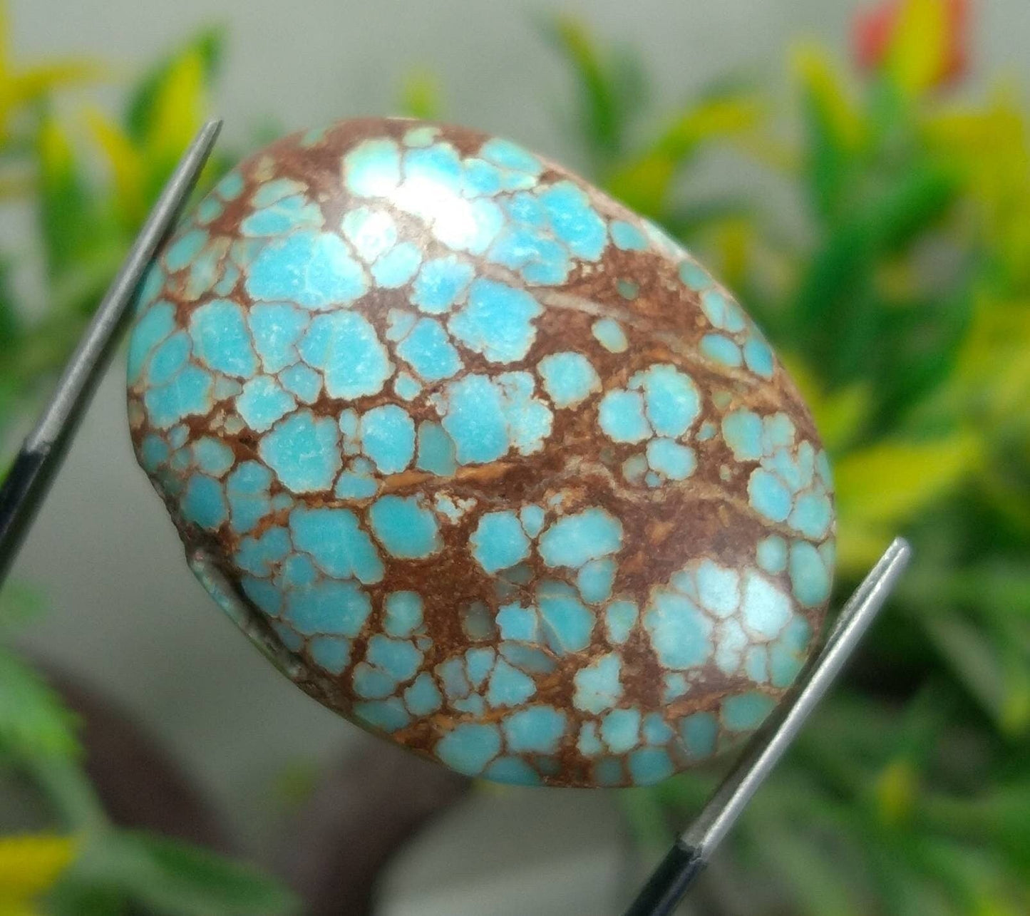 ARSAA GEMS AND MINERALSTop Quality and natural 53 carats beautiful spider web Egyptian turquoise cabochon - Premium from ARSAA GEMS AND MINERALS - Just $35.00! Shop now at ARSAA GEMS AND MINERALS