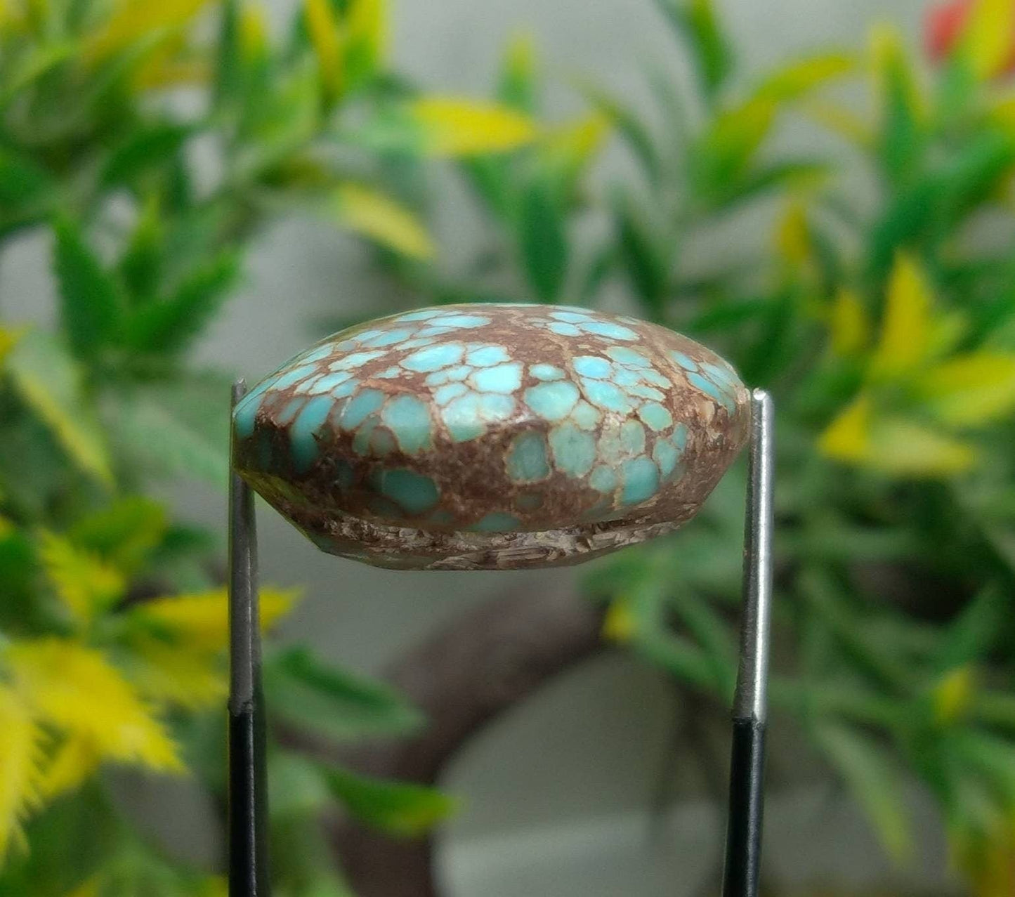ARSAA GEMS AND MINERALSTop Quality and natural 53 carats beautiful spider web Egyptian turquoise cabochon - Premium from ARSAA GEMS AND MINERALS - Just $35.00! Shop now at ARSAA GEMS AND MINERALS