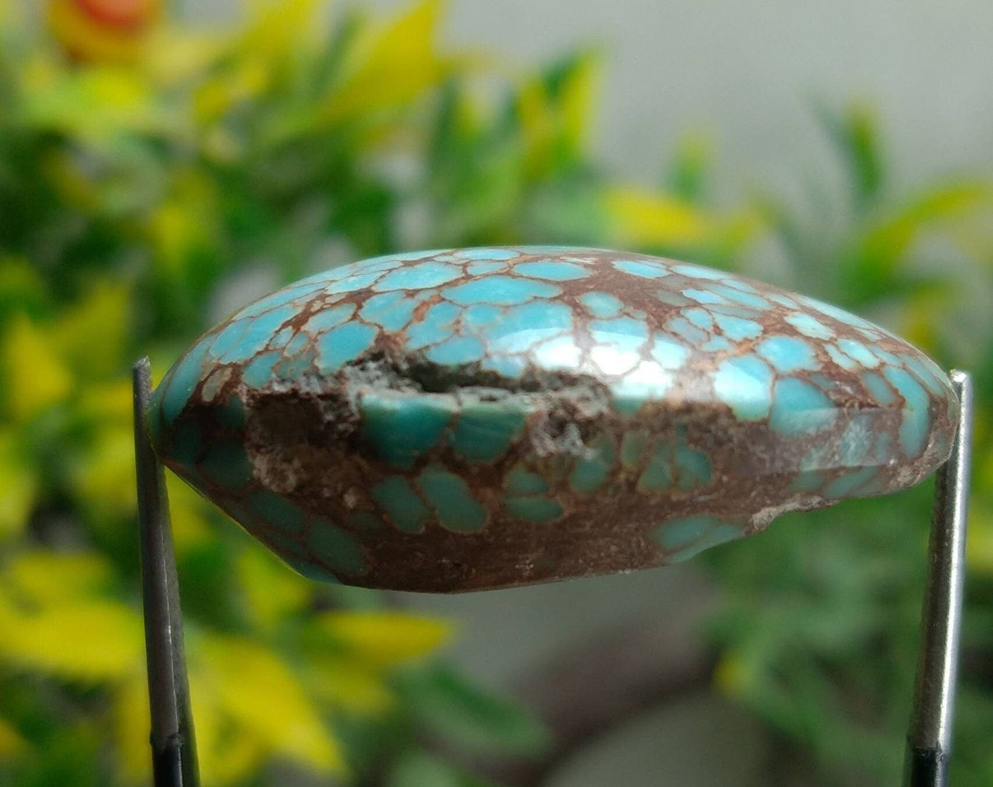 ARSAA GEMS AND MINERALSTop Quality and natural 53 carats beautiful spider web Egyptian turquoise cabochon - Premium from ARSAA GEMS AND MINERALS - Just $35.00! Shop now at ARSAA GEMS AND MINERALS
