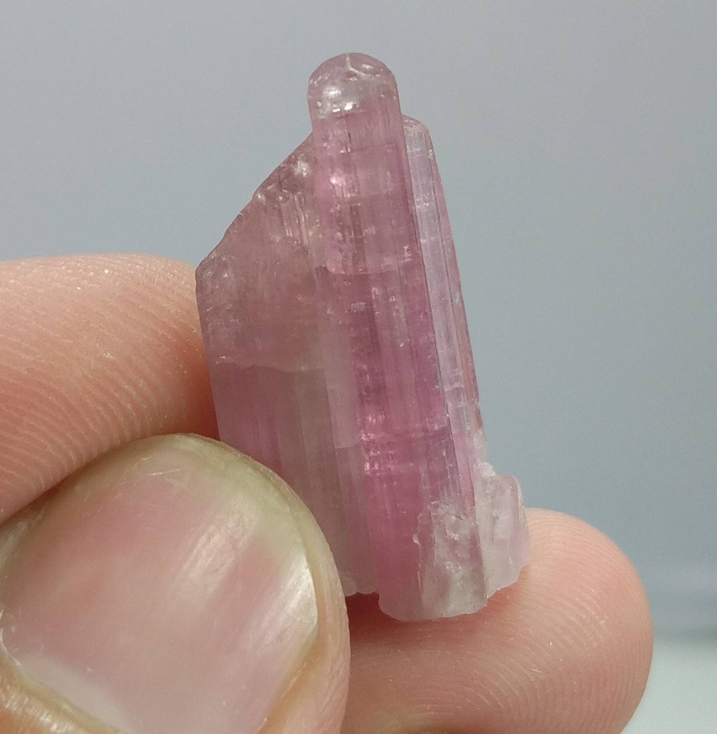 ARSAA GEMS AND MINERALSNatural top quality beautiful 4.6 grams terminated Pink Tourmaline crystal - Premium from ARSAA GEMS AND MINERALS - Just $55.00! Shop now at ARSAA GEMS AND MINERALS