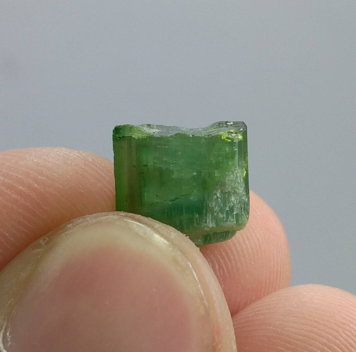ARSAA GEMS AND MINERALSTop Quality beautiful natural 1.6 gram terminated green Tourmaline crystal - Premium from ARSAA GEMS AND MINERALS - Just $15.00! Shop now at ARSAA GEMS AND MINERALS