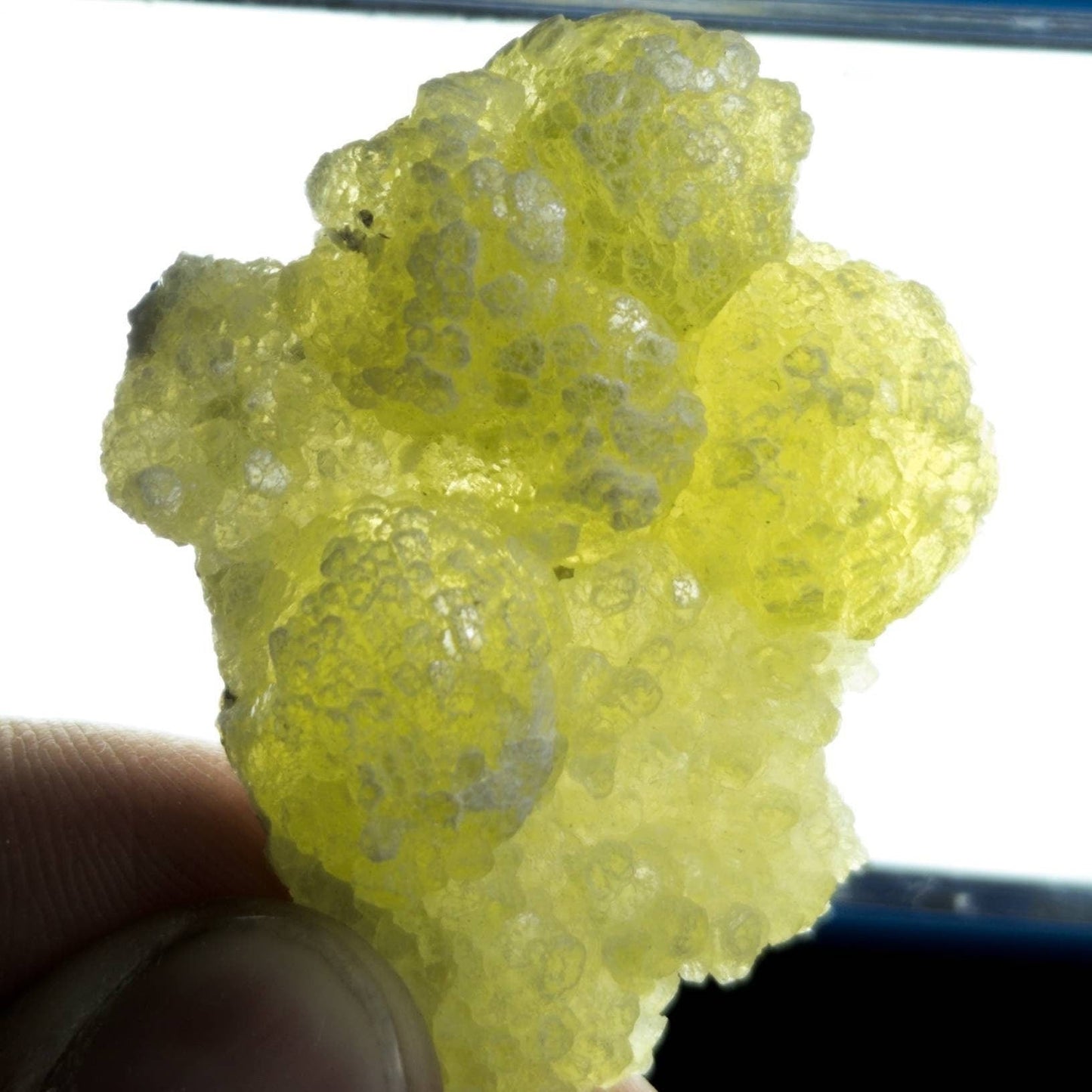 ARSAA GEMS AND MINERALSNatural beautiful 16.3 grams brucite specimen from Balochistan Pakistan - Premium  from ARSAA GEMS AND MINERALS - Just $30.00! Shop now at ARSAA GEMS AND MINERALS