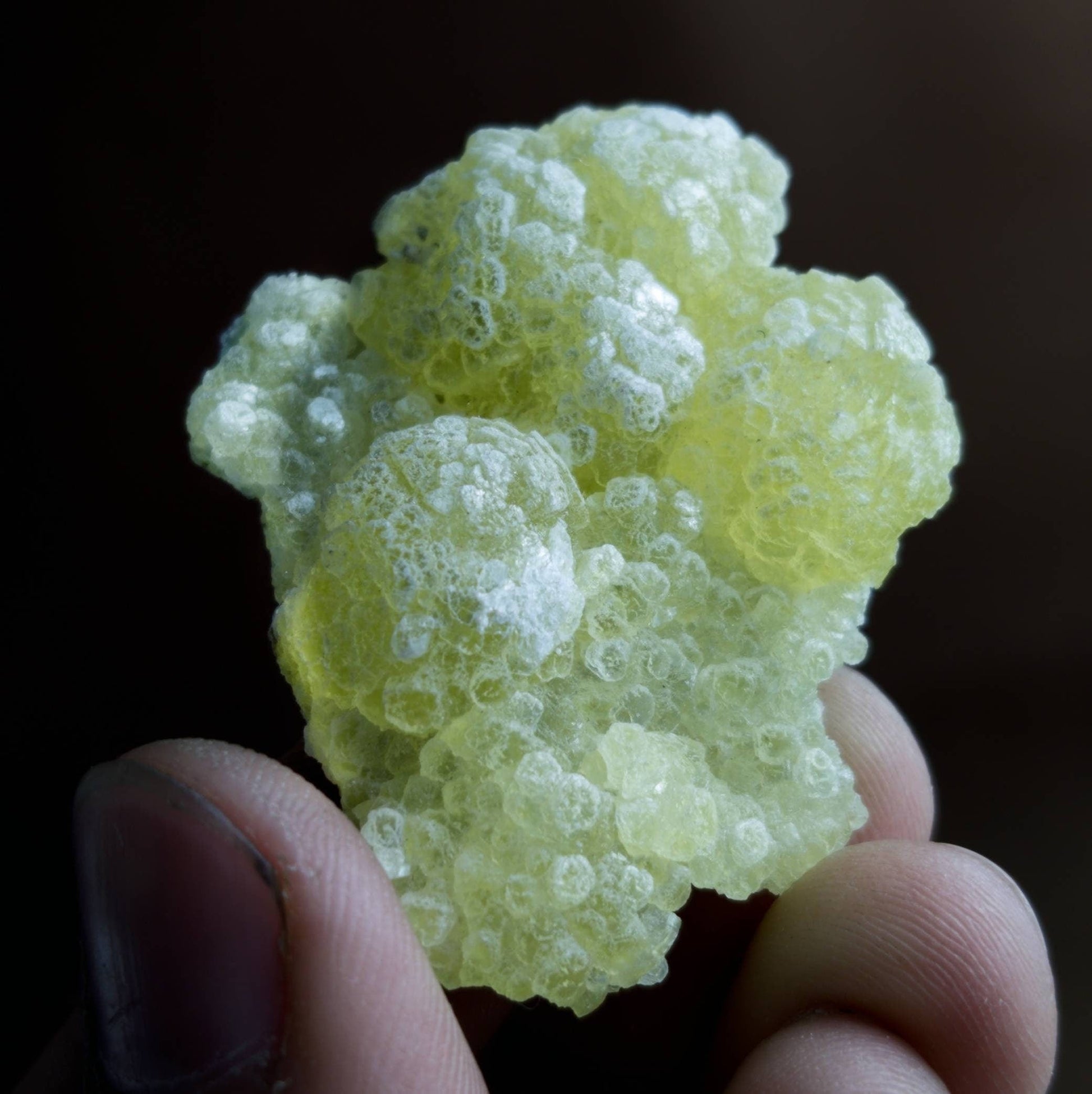 ARSAA GEMS AND MINERALSNatural beautiful 16.3 grams brucite specimen from Balochistan Pakistan - Premium  from ARSAA GEMS AND MINERALS - Just $30.00! Shop now at ARSAA GEMS AND MINERALS