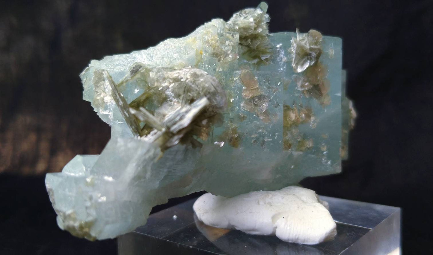 ARSAA GEMS AND MINERALSNatural top quality beautiful 75.9 grams blue clear aquamarine with moscovite terminated cluster - Premium  from ARSAA GEMS AND MINERALS - Just $120.00! Shop now at ARSAA GEMS AND MINERALS