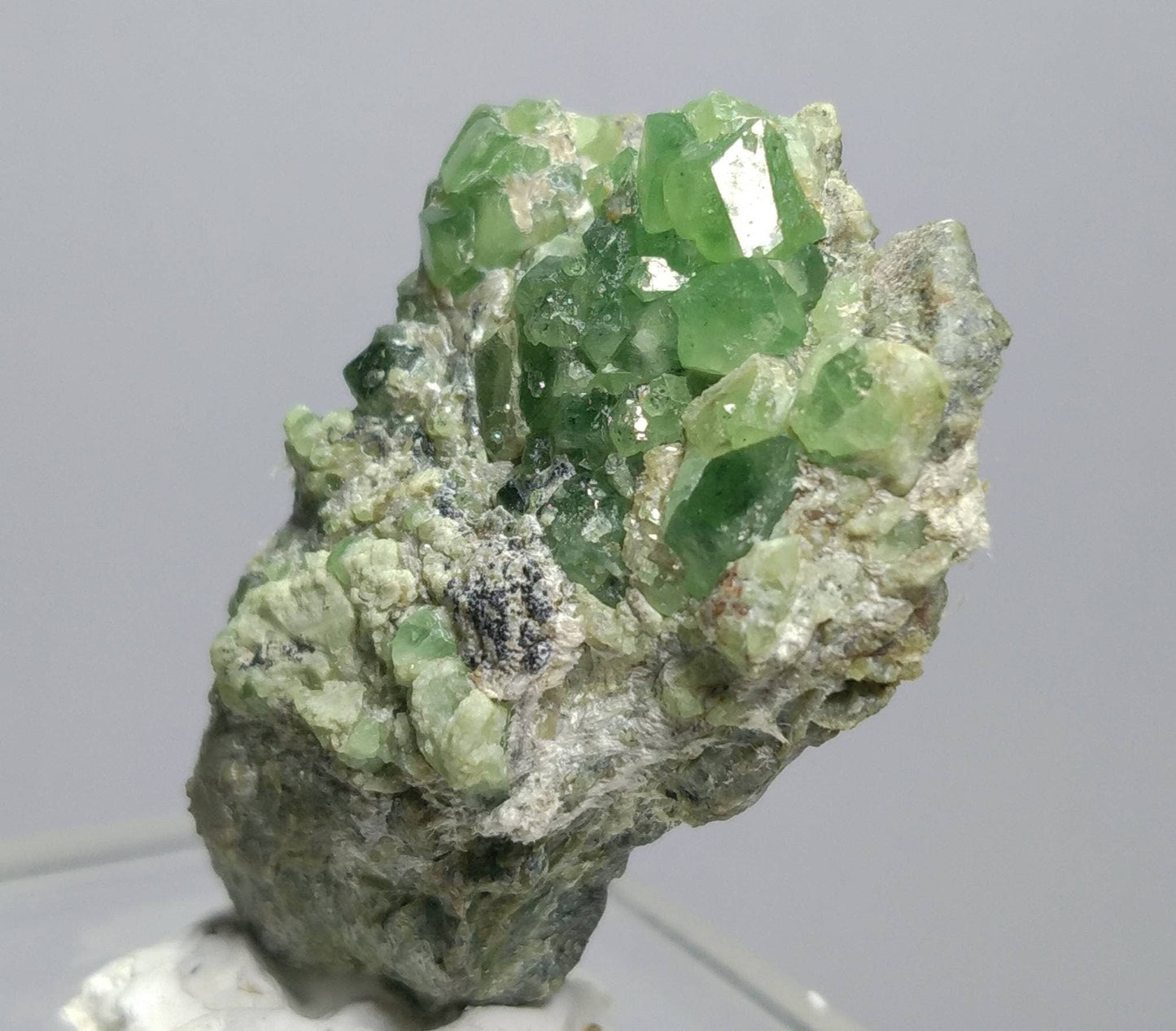 ARSAA GEMS AND MINERALSNatural top quality 24.7 grams Very Rare Natural vibrant green Demantoid Garnet cluster on matrix - Premium  from ARSAA GEMS AND MINERALS - Just $120.00! Shop now at ARSAA GEMS AND MINERALS