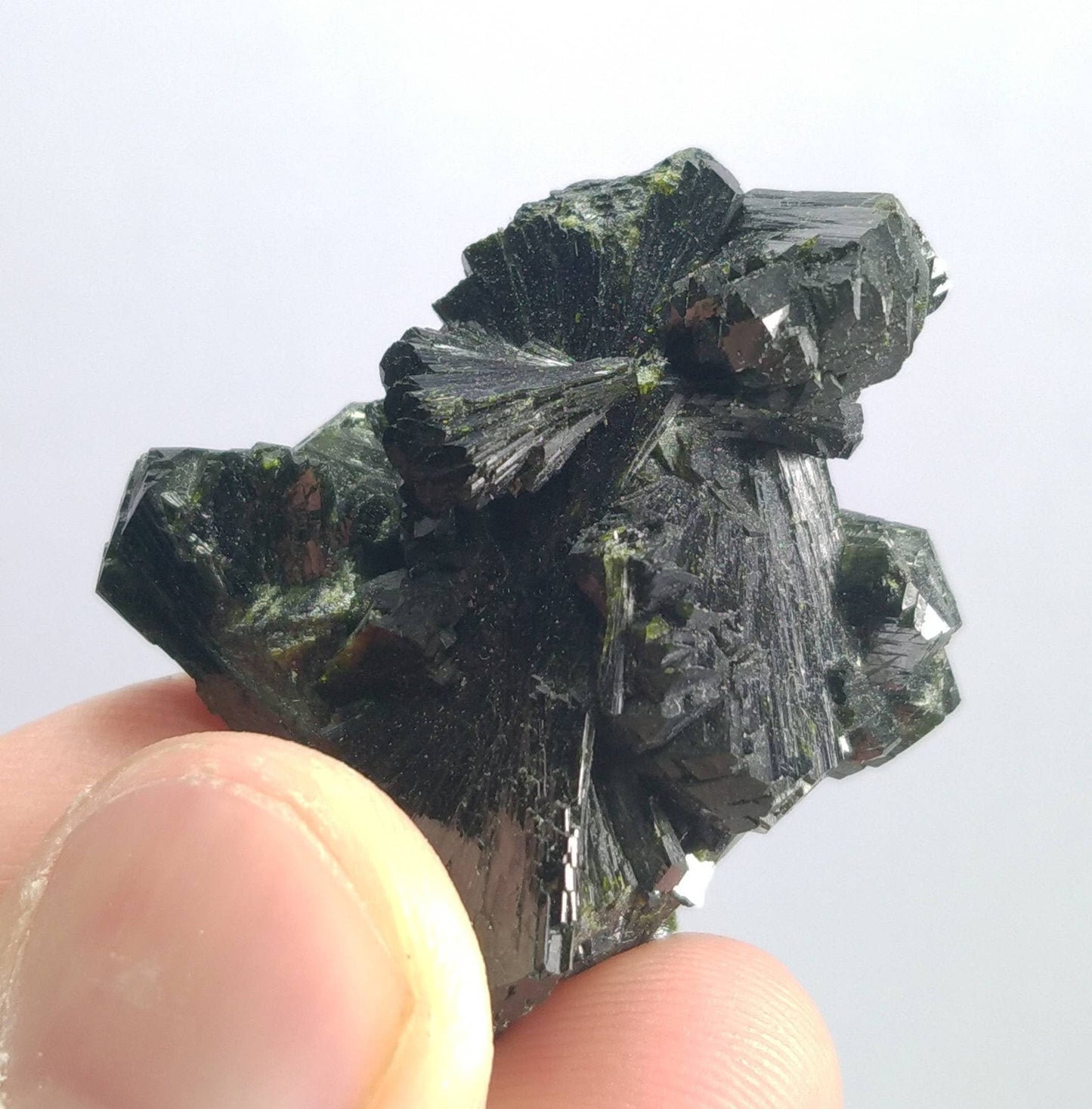 ARSAA GEMS AND MINERALSNatural top quality beautiful 19.7 grams rare bow tie epidote cluster - Premium from ARSAA GEMS AND MINERALS - Just $45.00! Shop now at ARSAA GEMS AND MINERALS