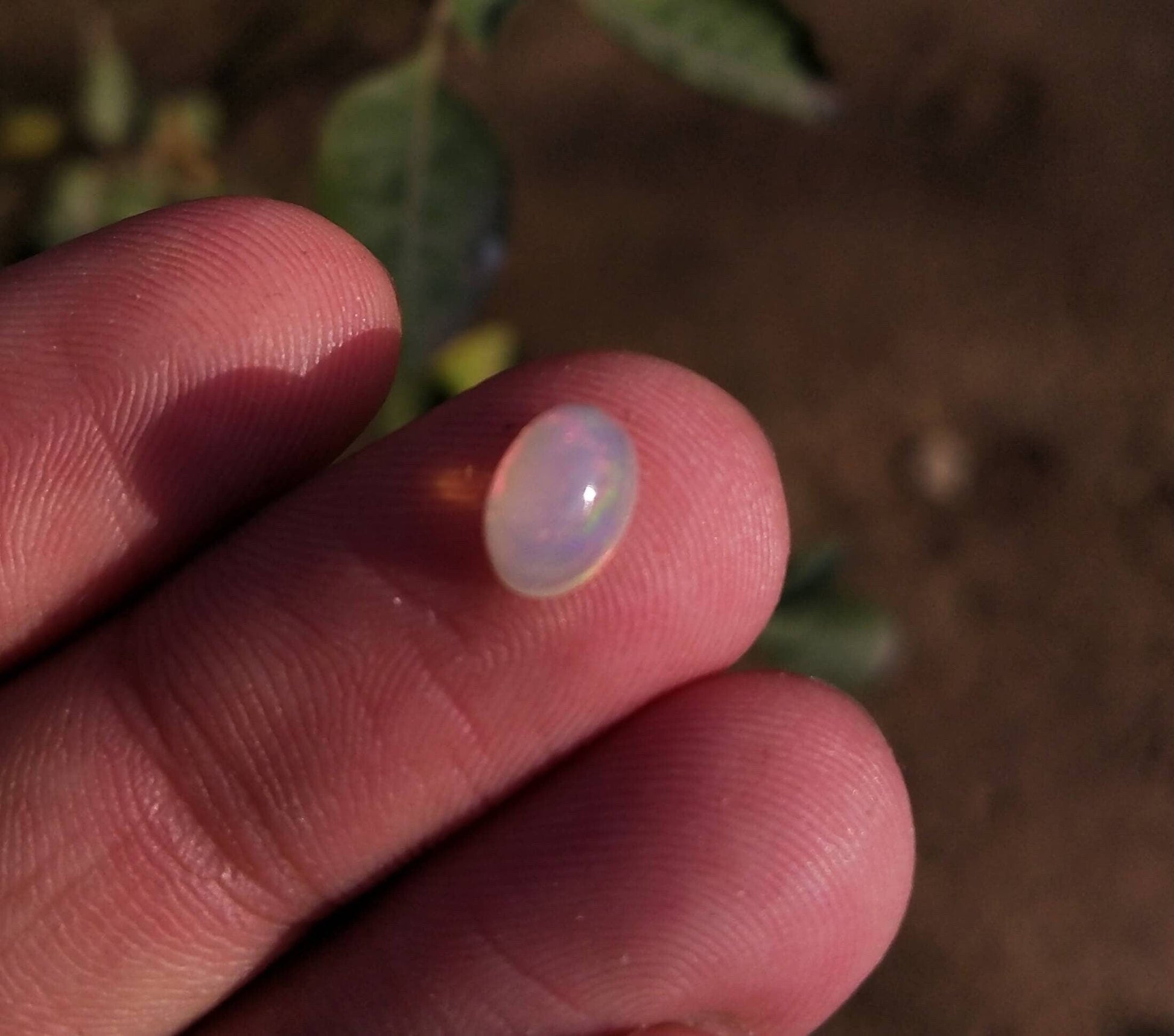 ARSAA GEMS AND MINERALSNatural top quality beautiful small size cabochons of fire opal - Premium  from ARSAA GEMS AND MINERALS - Just $20.00! Shop now at ARSAA GEMS AND MINERALS