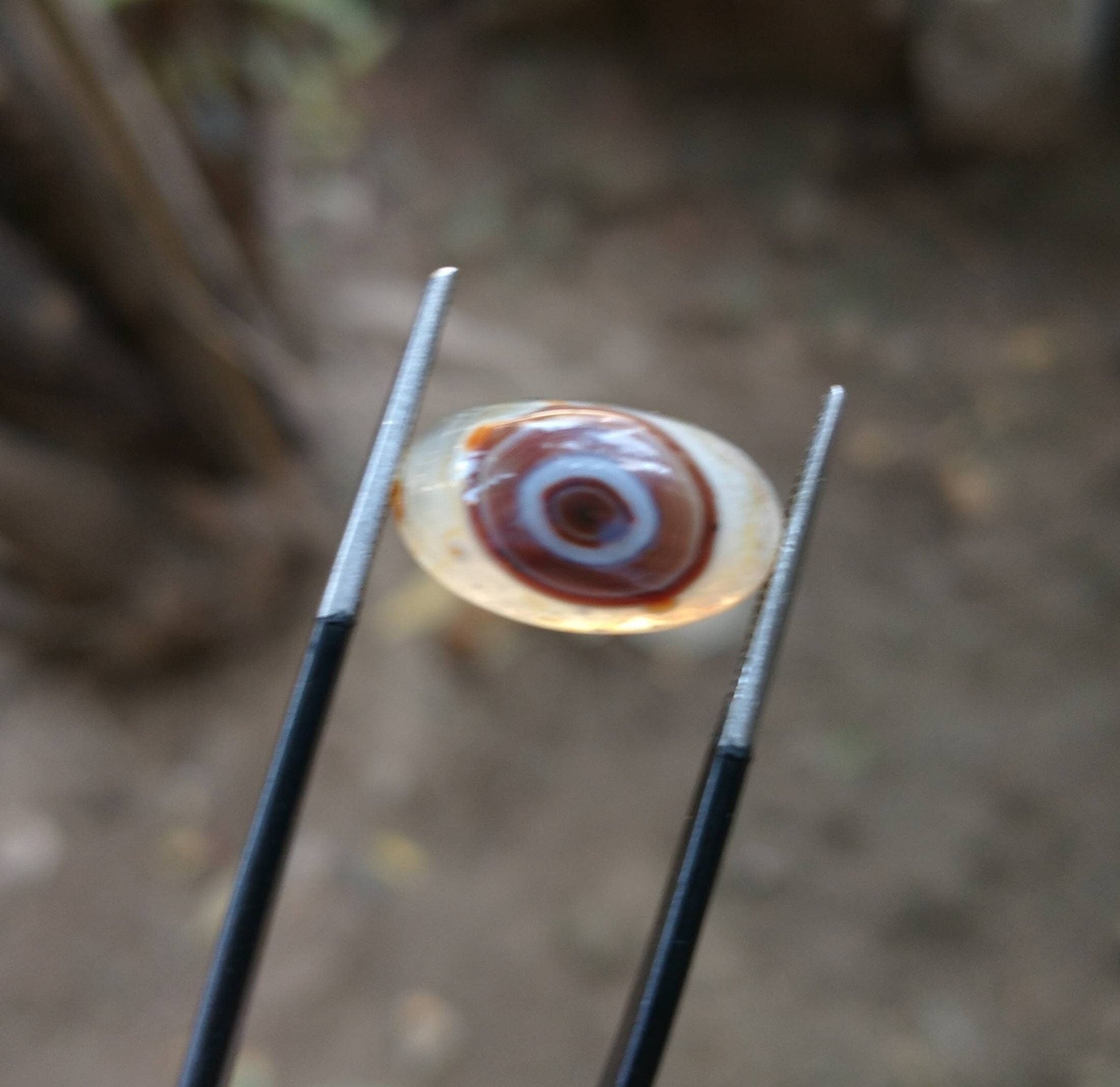 ARSAA GEMS AND MINERALSNatural good quality beautiful 21 carats oval shapes small lot of banded eye fine agate cabochons - Premium  from ARSAA GEMS AND MINERALS - Just $30.00! Shop now at ARSAA GEMS AND MINERALS