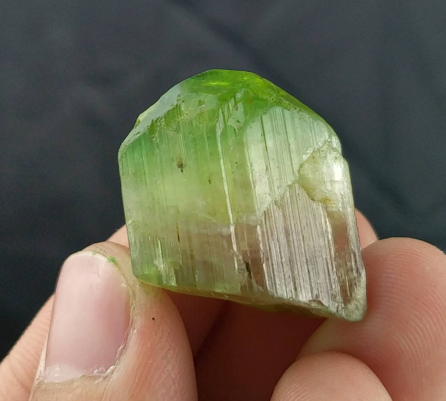 ARSAA GEMS AND MINERALSMulticolor terminated tourmaline crystal 18.5 grams weight from Africa - Premium from ARSAA GEMS AND MINERALS - Just $360.00! Shop now at ARSAA GEMS AND MINERALS