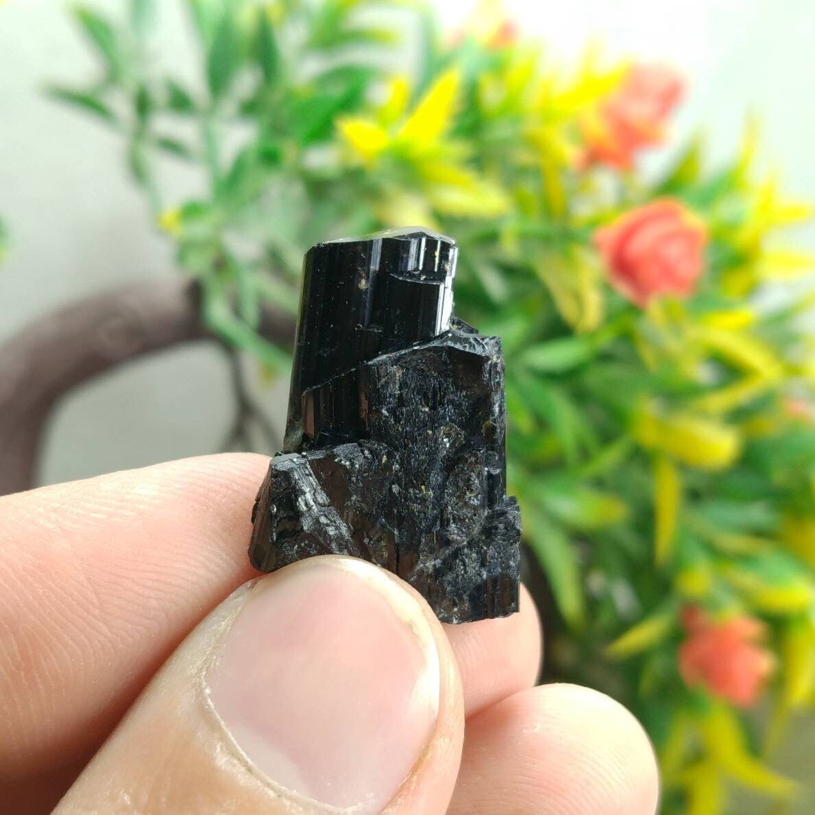 ARSAA GEMS AND MINERALSNatural fine quality beautiful 32 carats Schorl black tourmaline crystal - Premium from ARSAA GEMS AND MINERALS - Just $10.00! Shop now at ARSAA GEMS AND MINERALS
