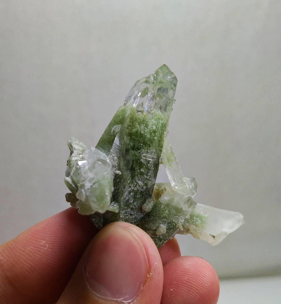 ARSAA GEMS AND MINERALSNatural top quality beautiful 15.6 grams selected chlorine quartz Crystal - Premium from ARSAA GEMS AND MINERALS - Just $20.00! Shop now at ARSAA GEMS AND MINERALS