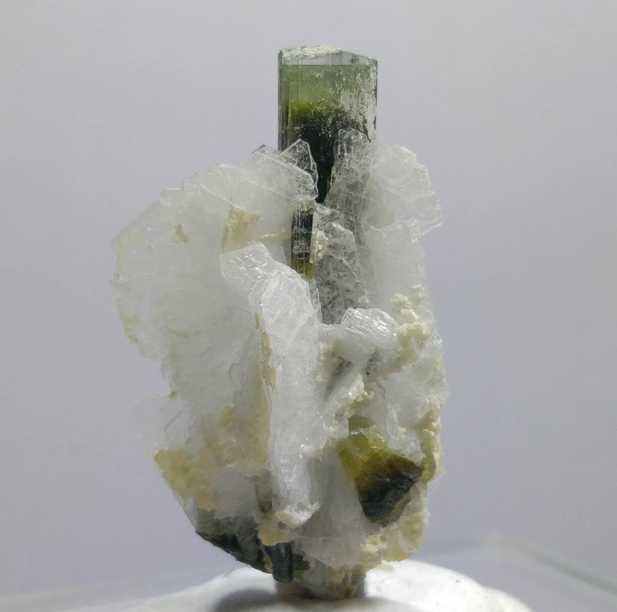 ARSAA GEMS AND MINERALSNatural top quality beautiful 6.7 grams double terminated green cap Tourmaline crystal - Premium  from ARSAA GEMS AND MINERALS - Just $50.00! Shop now at ARSAA GEMS AND MINERALS