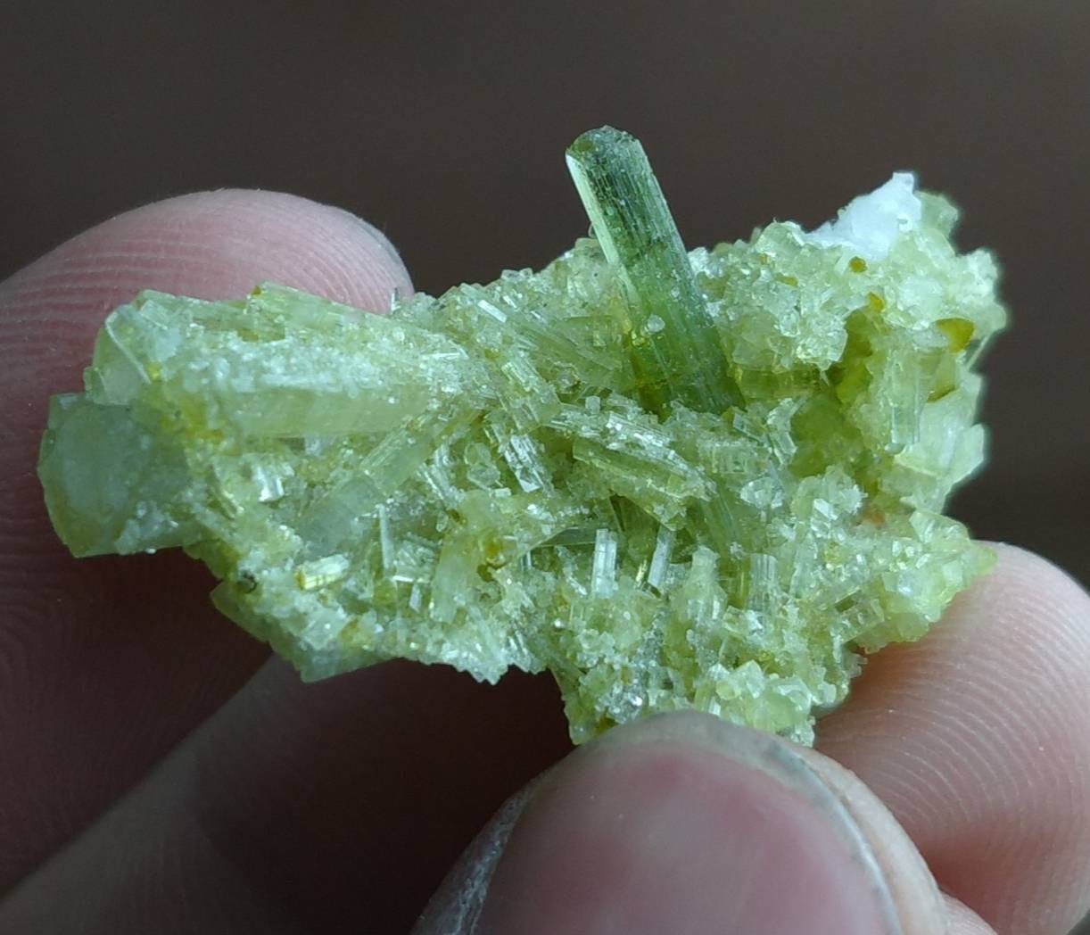 ARSAA GEMS AND MINERALSGreen tourmaline terminated on matrix cluster from Skardu GilgitBaltistan Pakistan, weight 7.6 grams - Premium  from ARSAA GEMS AND MINERALS - Just $75.00! Shop now at ARSAA GEMS AND MINERALS