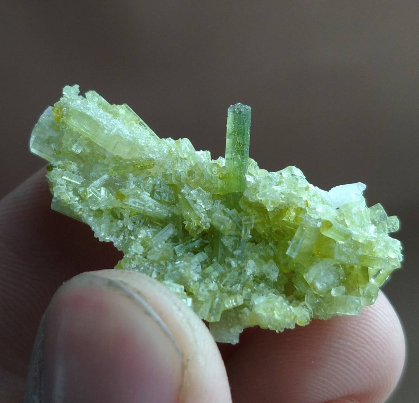 ARSAA GEMS AND MINERALSGreen tourmaline terminated on matrix cluster from Skardu GilgitBaltistan Pakistan, weight 7.6 grams - Premium  from ARSAA GEMS AND MINERALS - Just $75.00! Shop now at ARSAA GEMS AND MINERALS