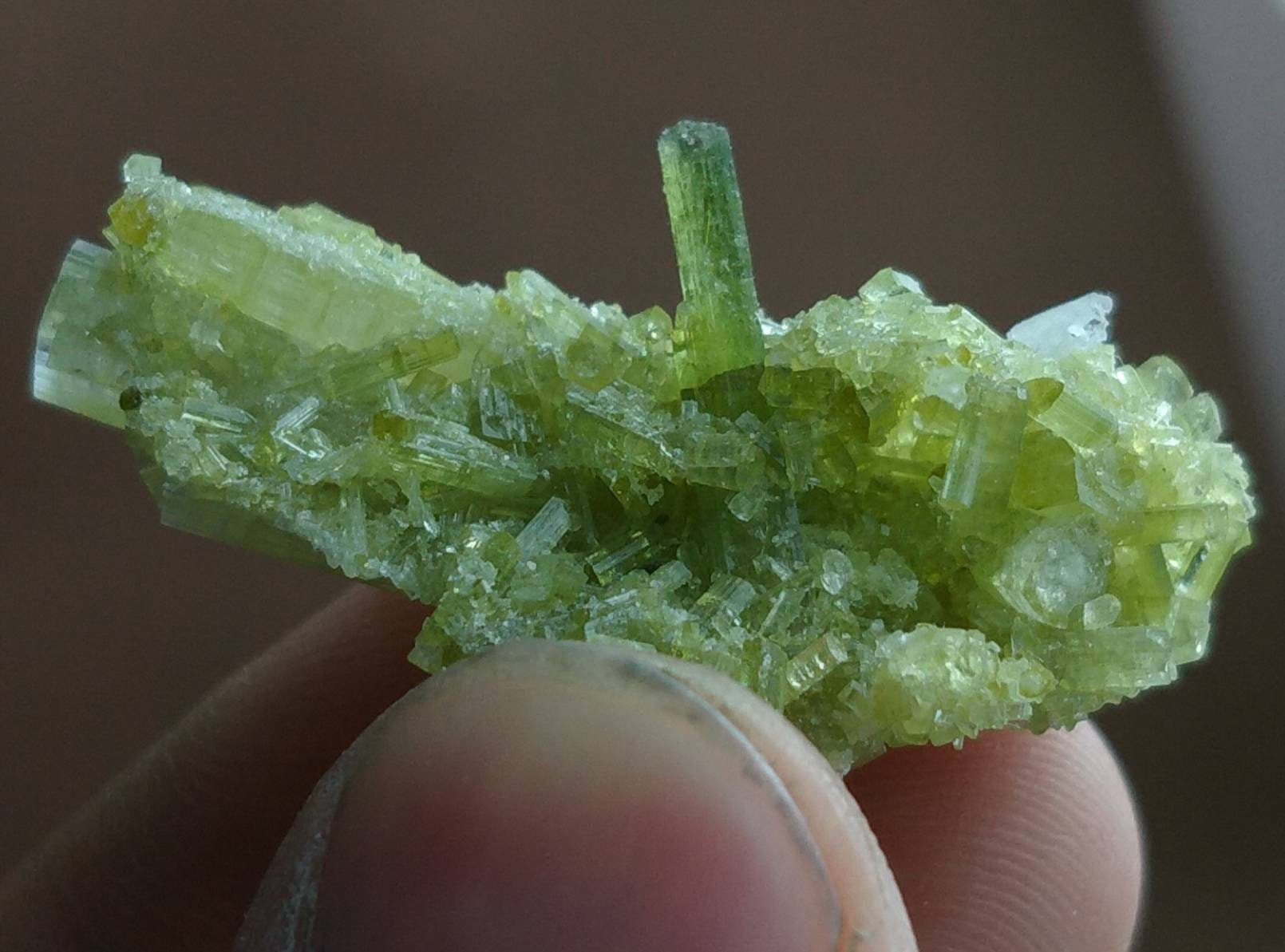ARSAA GEMS AND MINERALSGreen tourmaline terminated on matrix cluster from Skardu GilgitBaltistan Pakistan, weight 7.6 grams - Premium  from ARSAA GEMS AND MINERALS - Just $75.00! Shop now at ARSAA GEMS AND MINERALS