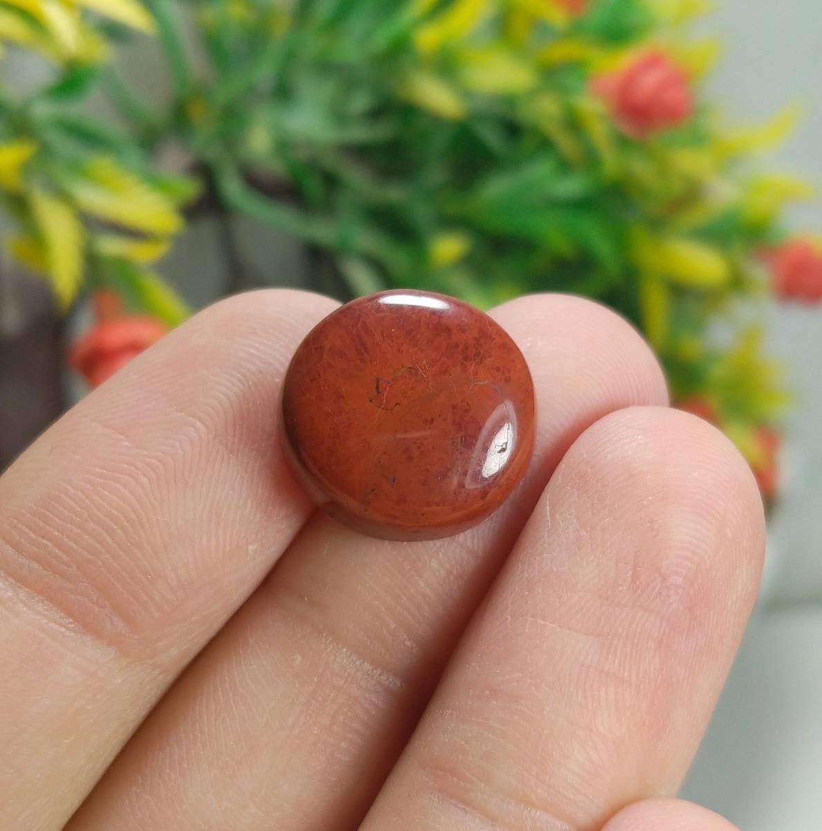 ARSAA GEMS AND MINERALSNatural fine quality beautiful 32 carats jewelry set cabochons of red Jasper pairs - Premium from ARSAA GEMS AND MINERALS - Just $15.00! Shop now at ARSAA GEMS AND MINERALS